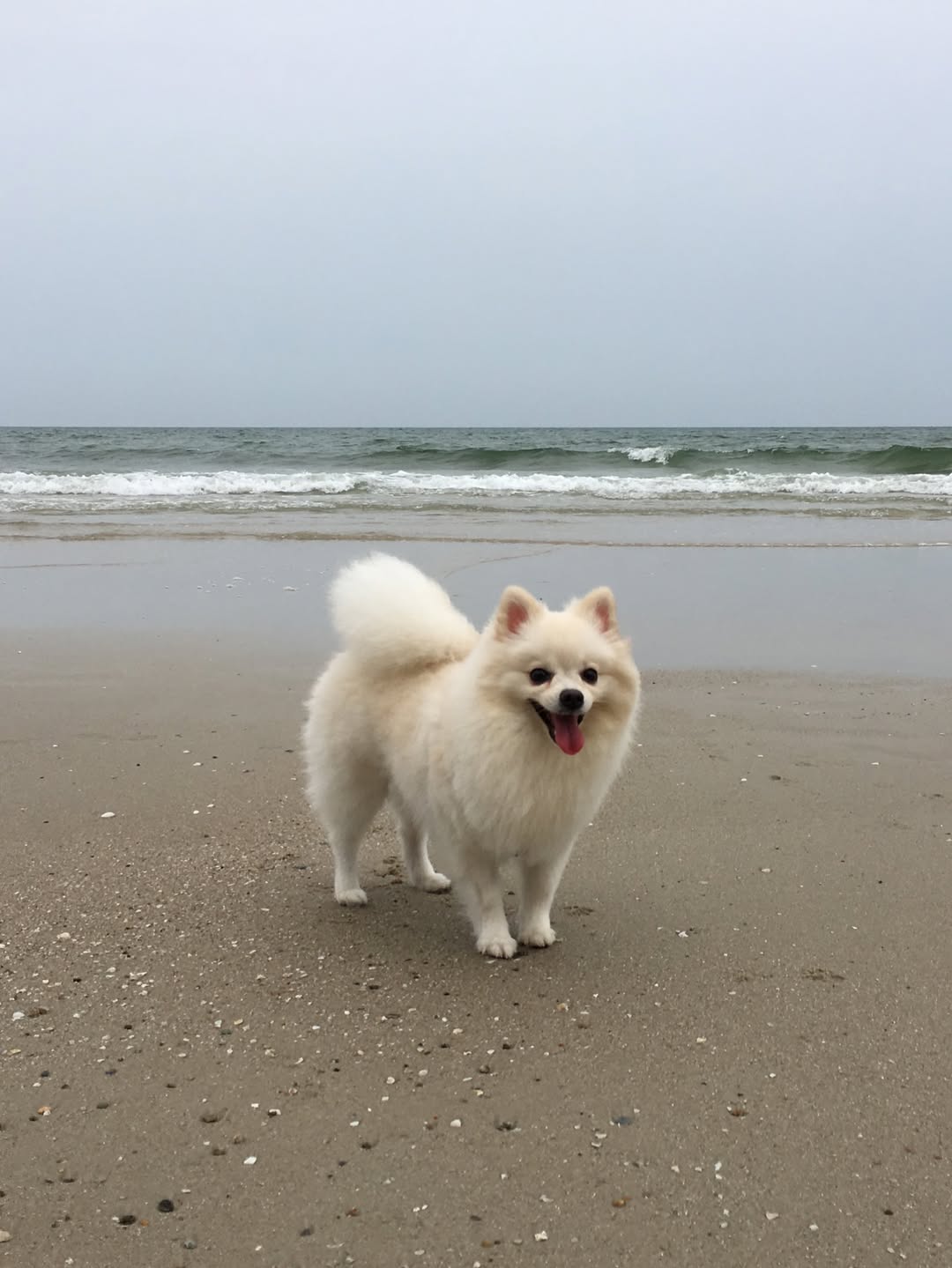 โบกี้ - พิชญ์สินี วีระสุทธิมาศ