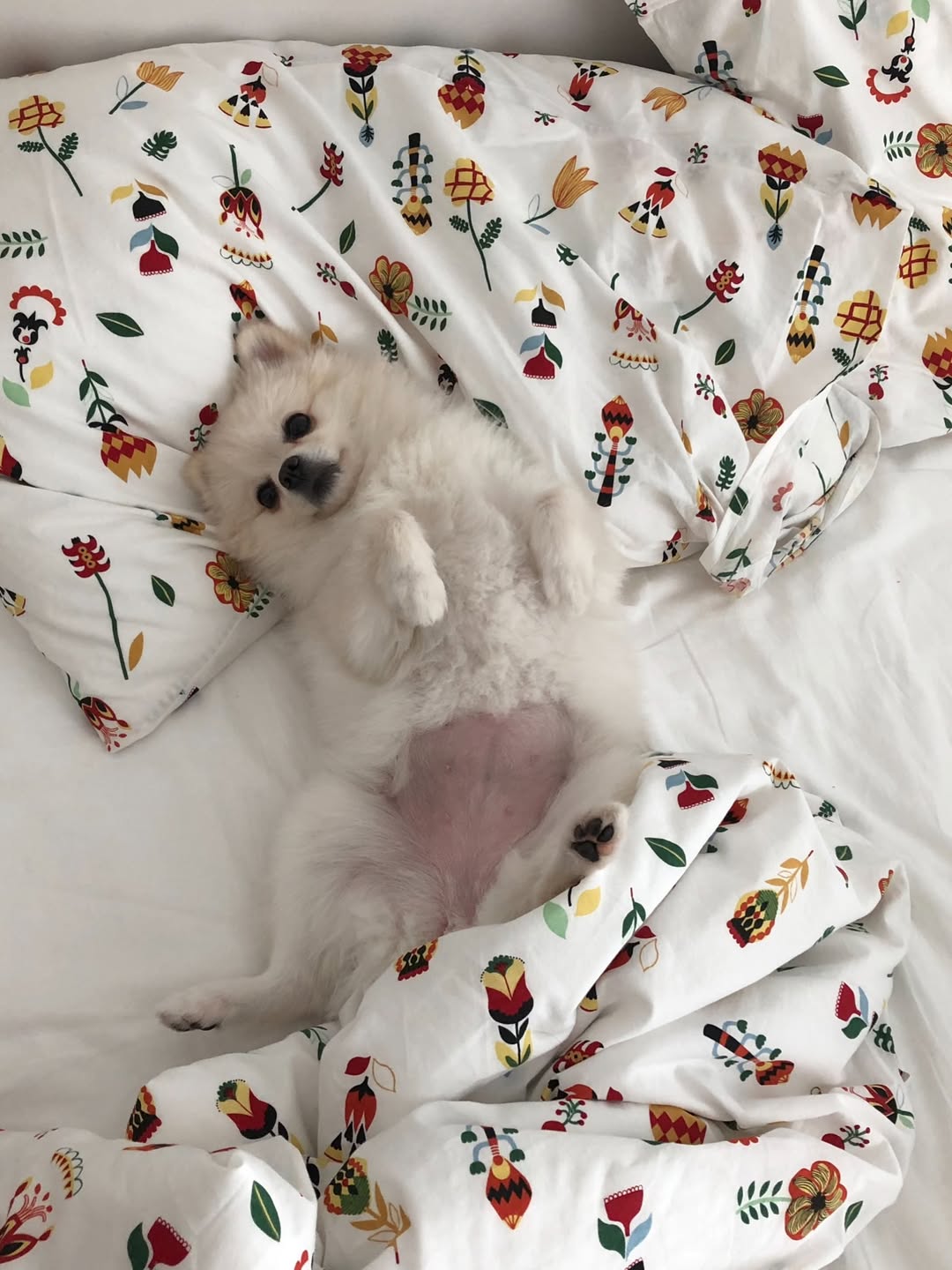 โบกี้ - พิชญ์สินี วีระสุทธิมาศ