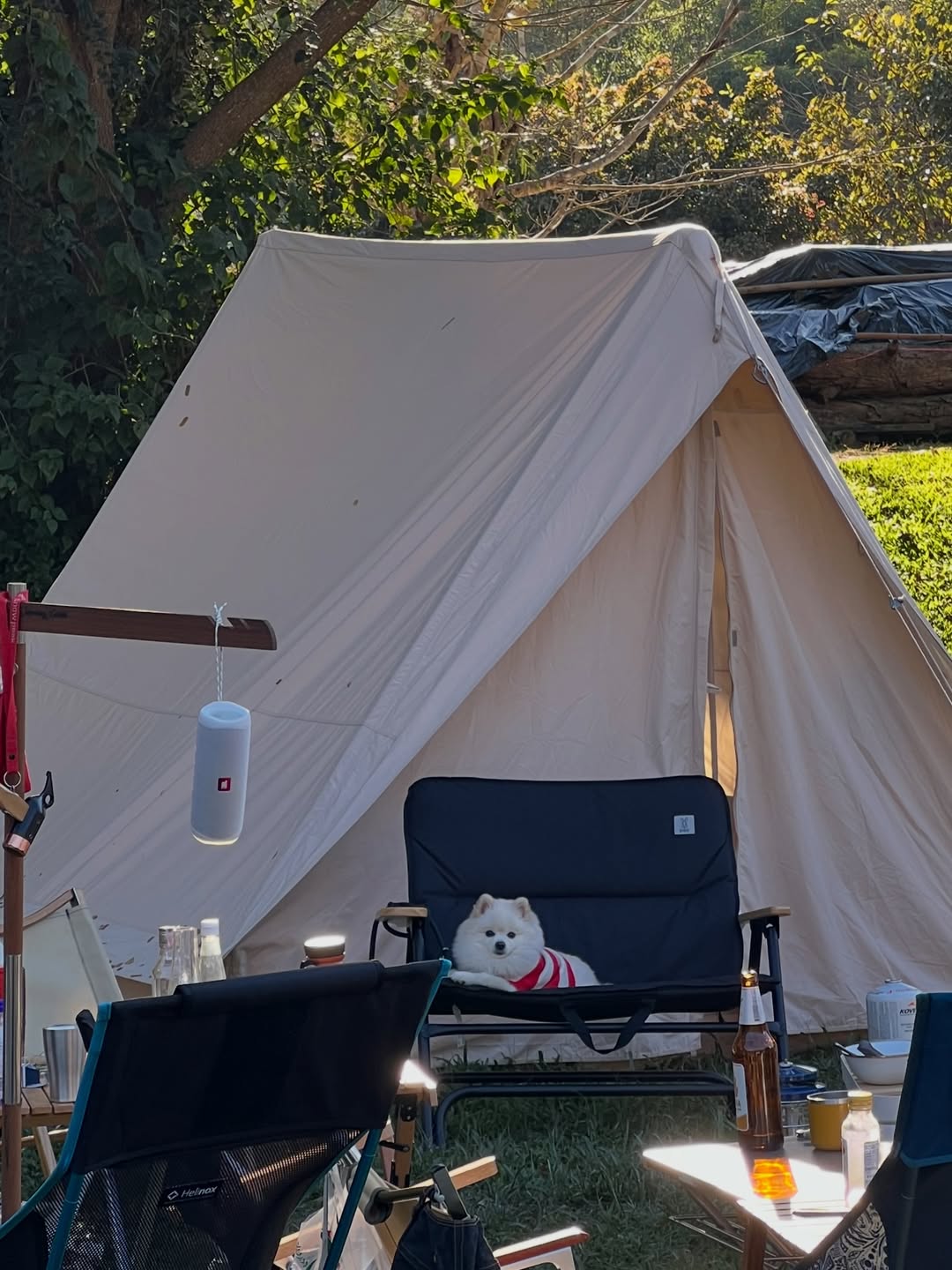 โบกี้ - พิชญ์สินี วีระสุทธิมาศ