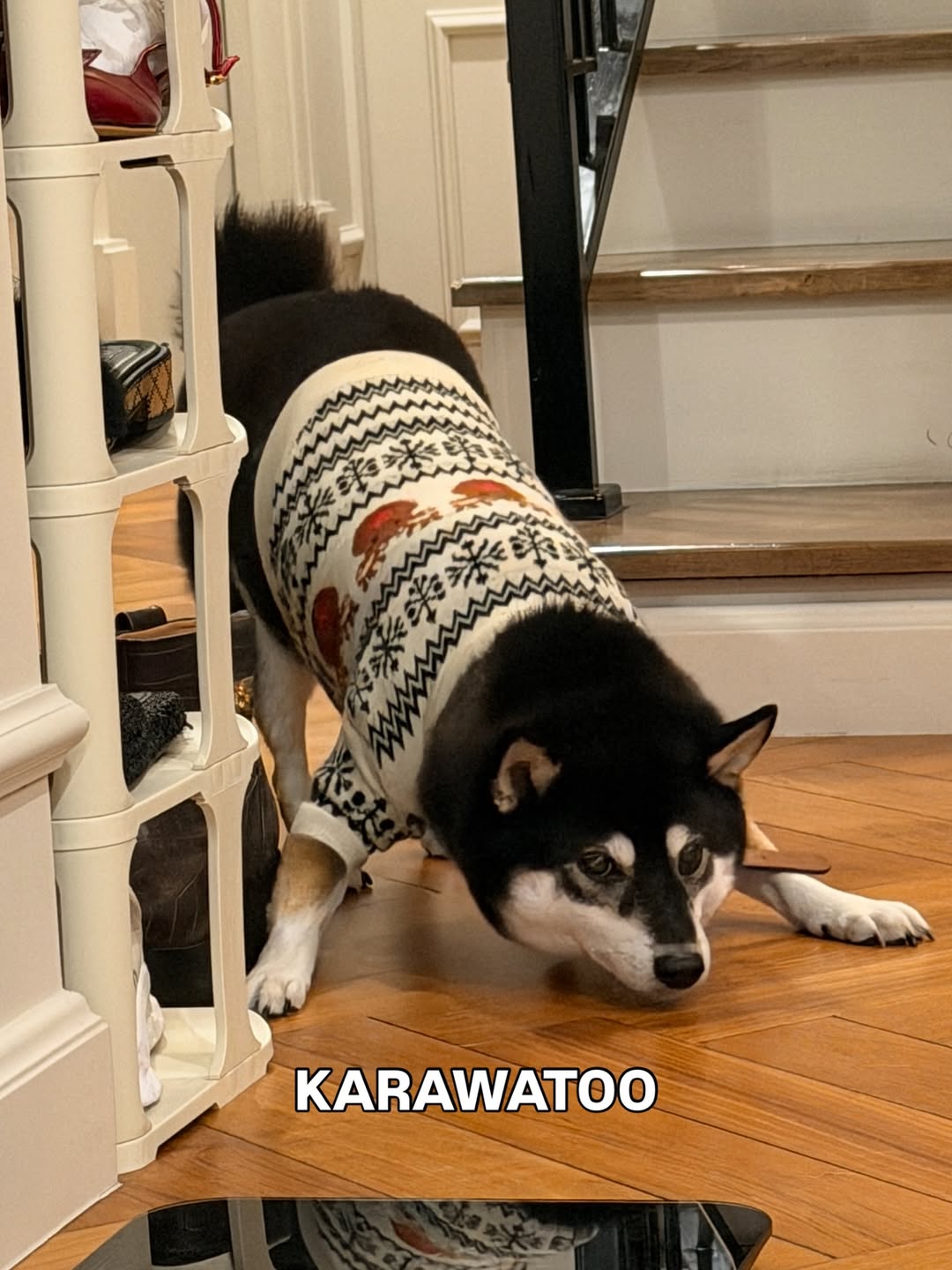 โบกี้ - พิชญ์สินี วีระสุทธิมาศ