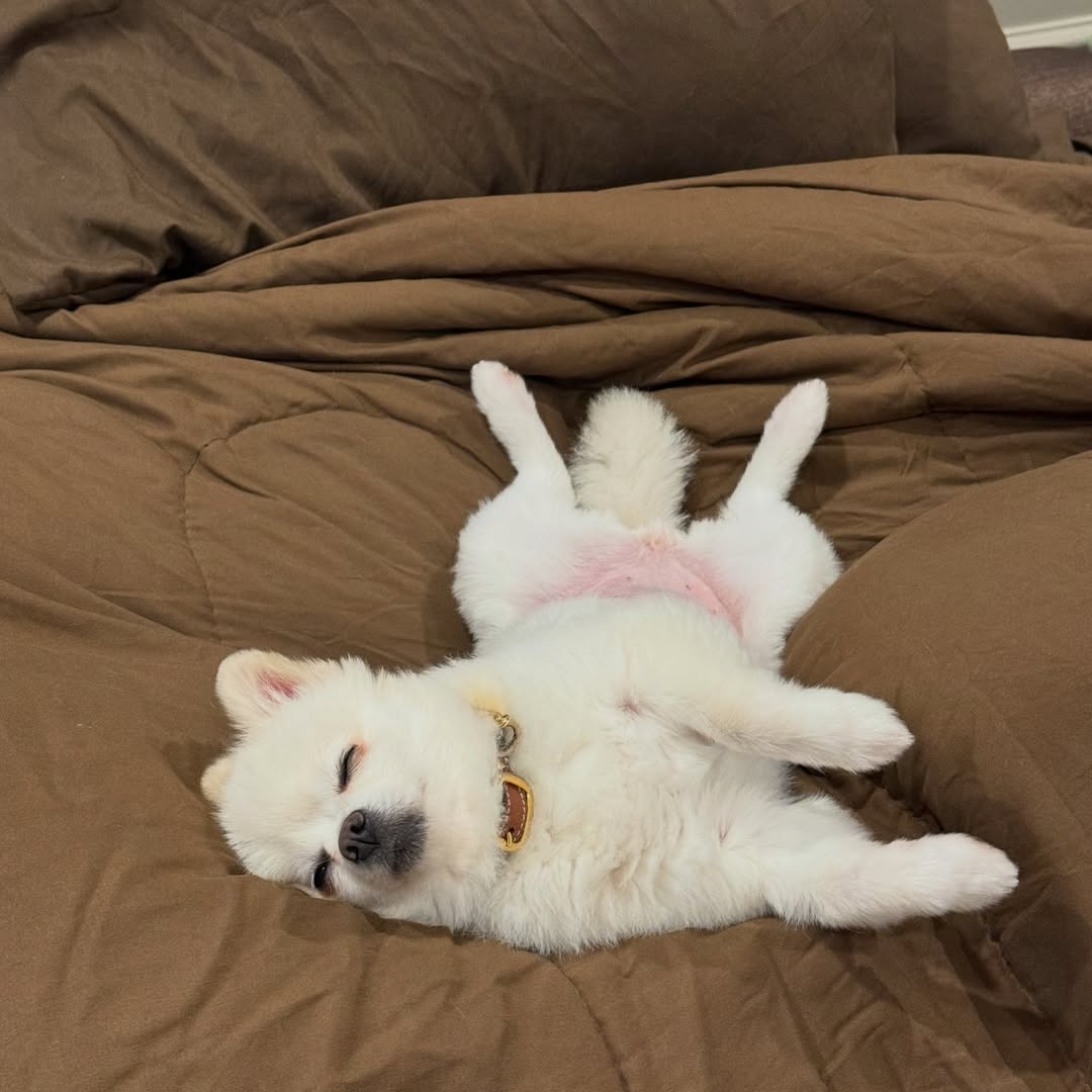 โบกี้ - พิชญ์สินี วีระสุทธิมาศ