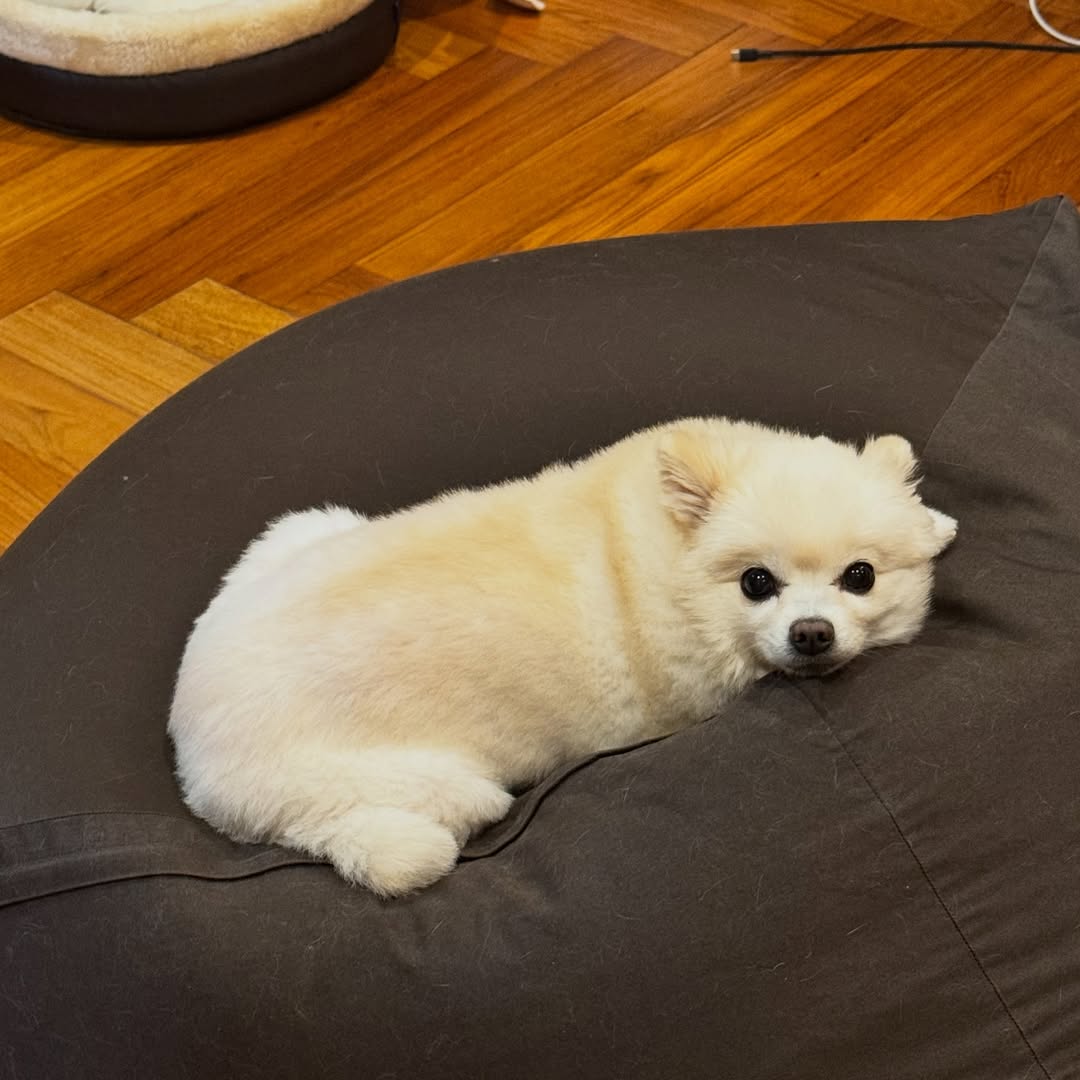 โบกี้ - พิชญ์สินี วีระสุทธิมาศ