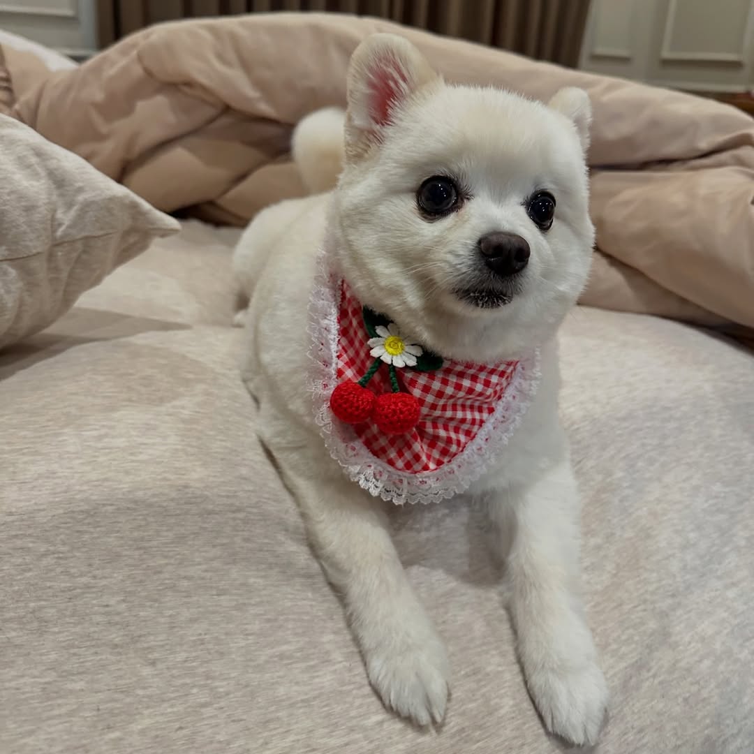 โบกี้ - พิชญ์สินี วีระสุทธิมาศ