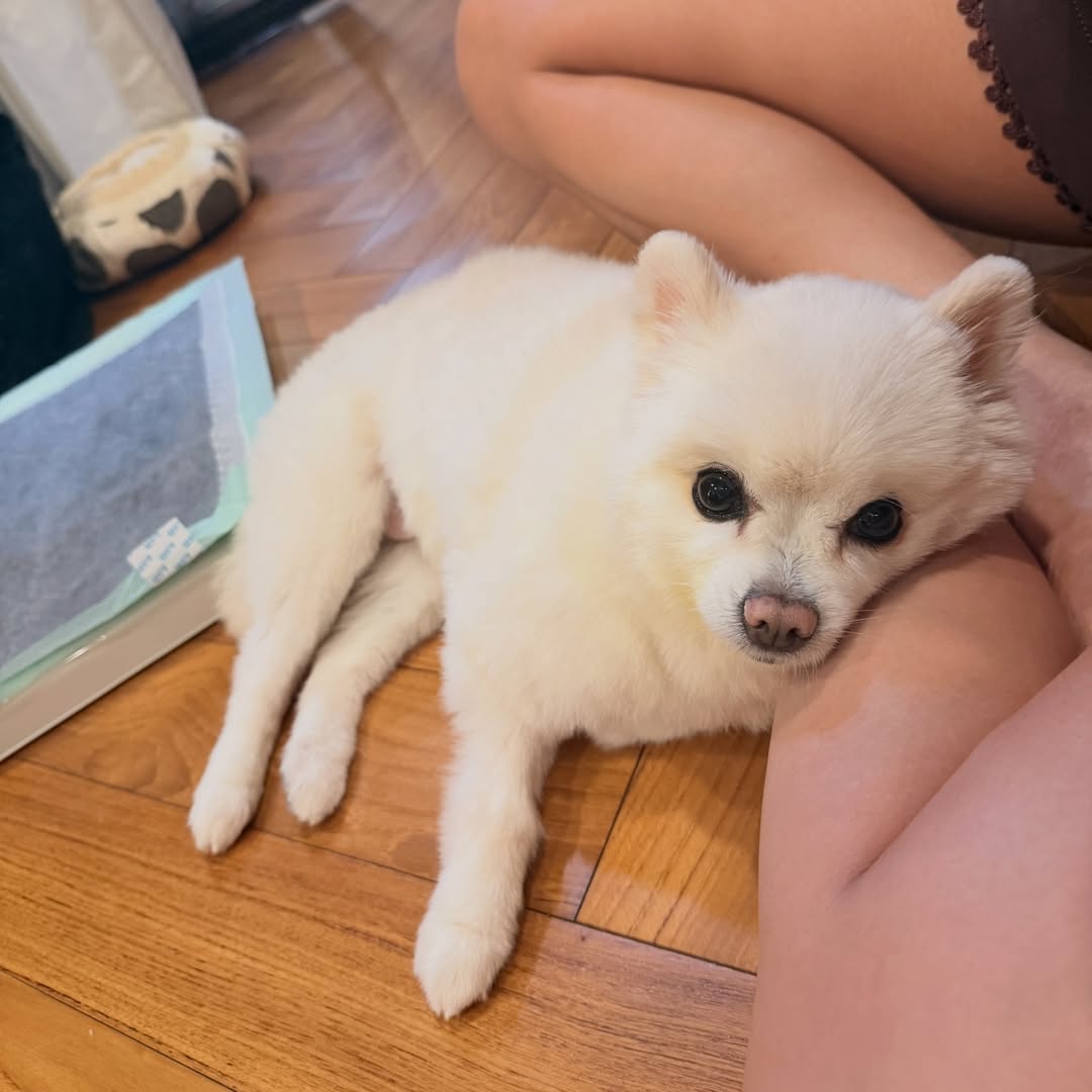 โบกี้ - พิชญ์สินี วีระสุทธิมาศ