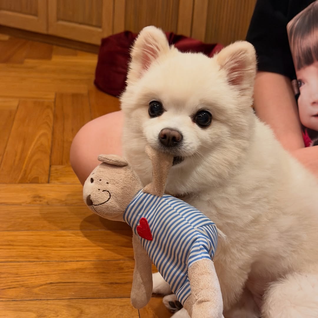 โบกี้ - พิชญ์สินี วีระสุทธิมาศ