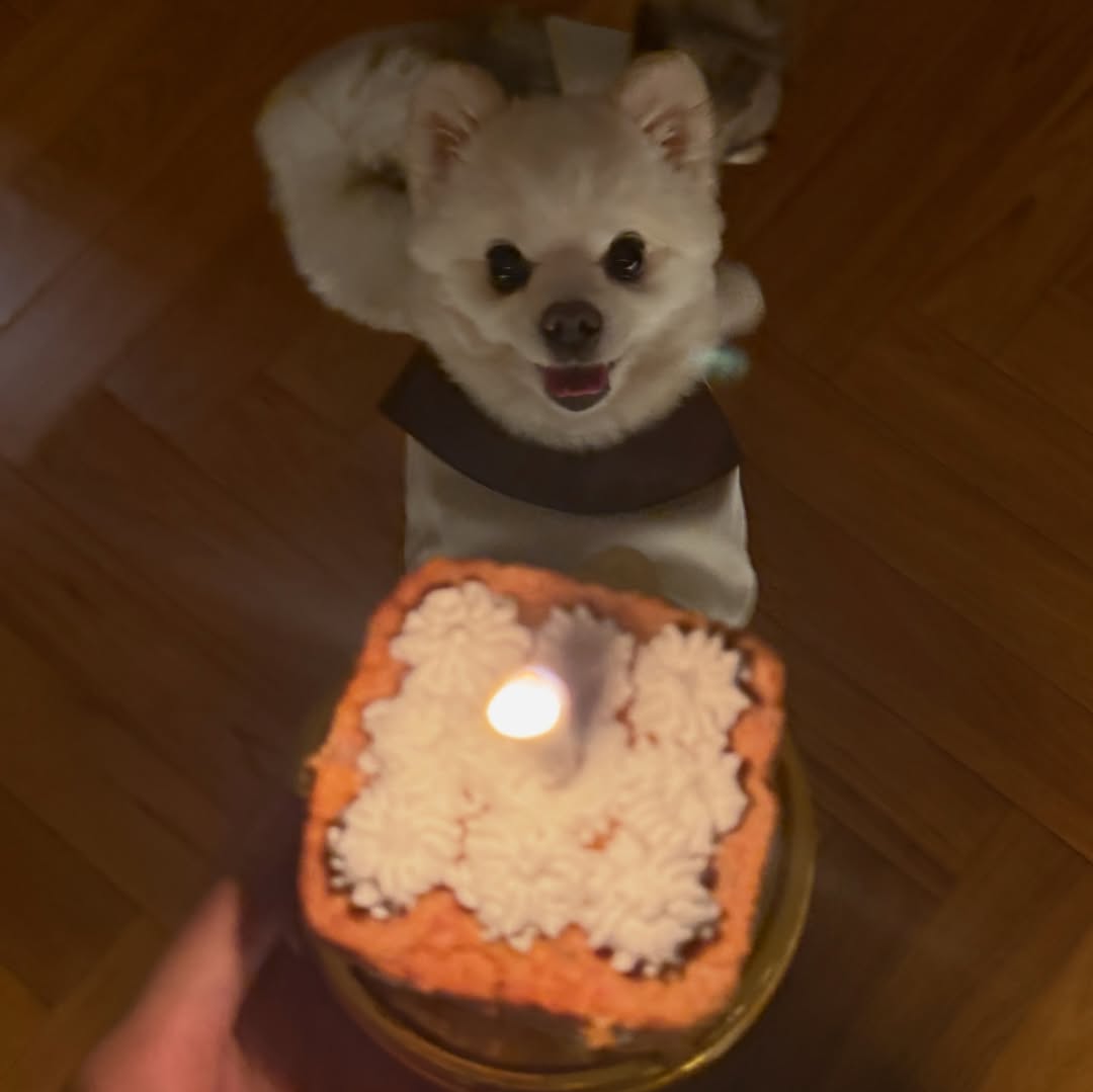 โบกี้ - พิชญ์สินี วีระสุทธิมาศ