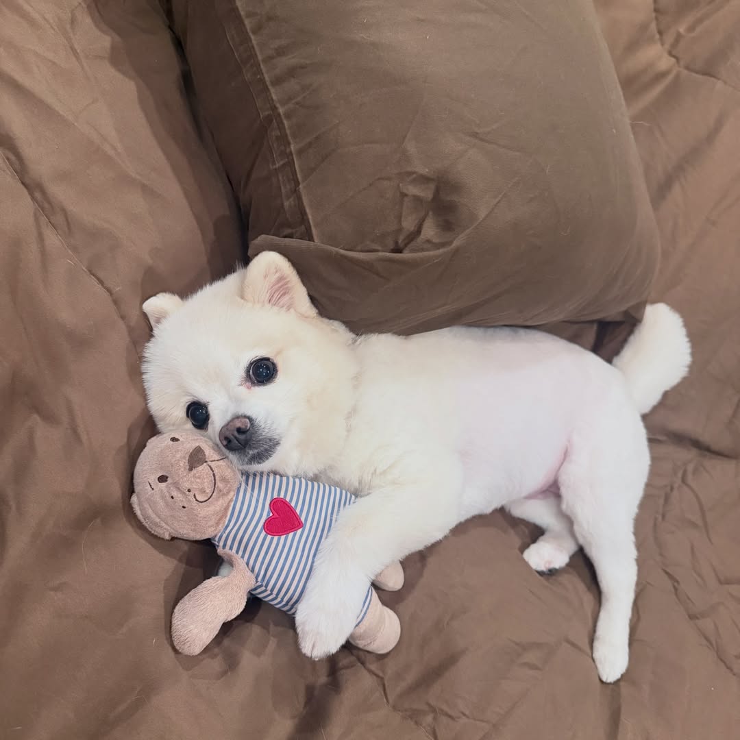 โบกี้ - พิชญ์สินี วีระสุทธิมาศ