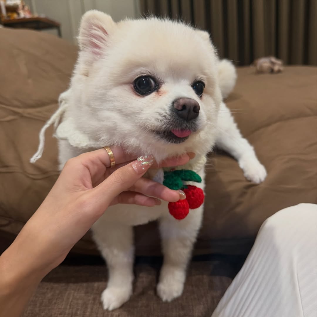 โบกี้ - พิชญ์สินี วีระสุทธิมาศ