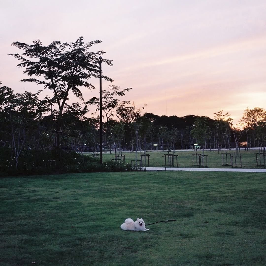 โบกี้ - พิชญ์สินี วีระสุทธิมาศ