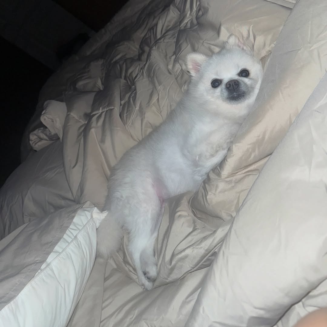 โบกี้ - พิชญ์สินี วีระสุทธิมาศ