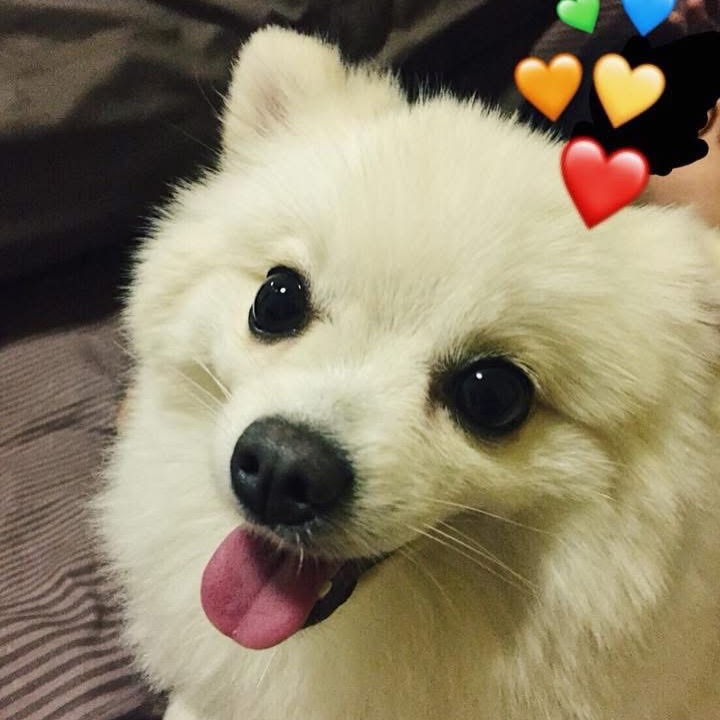 โบกี้ - พิชญ์สินี วีระสุทธิมาศ