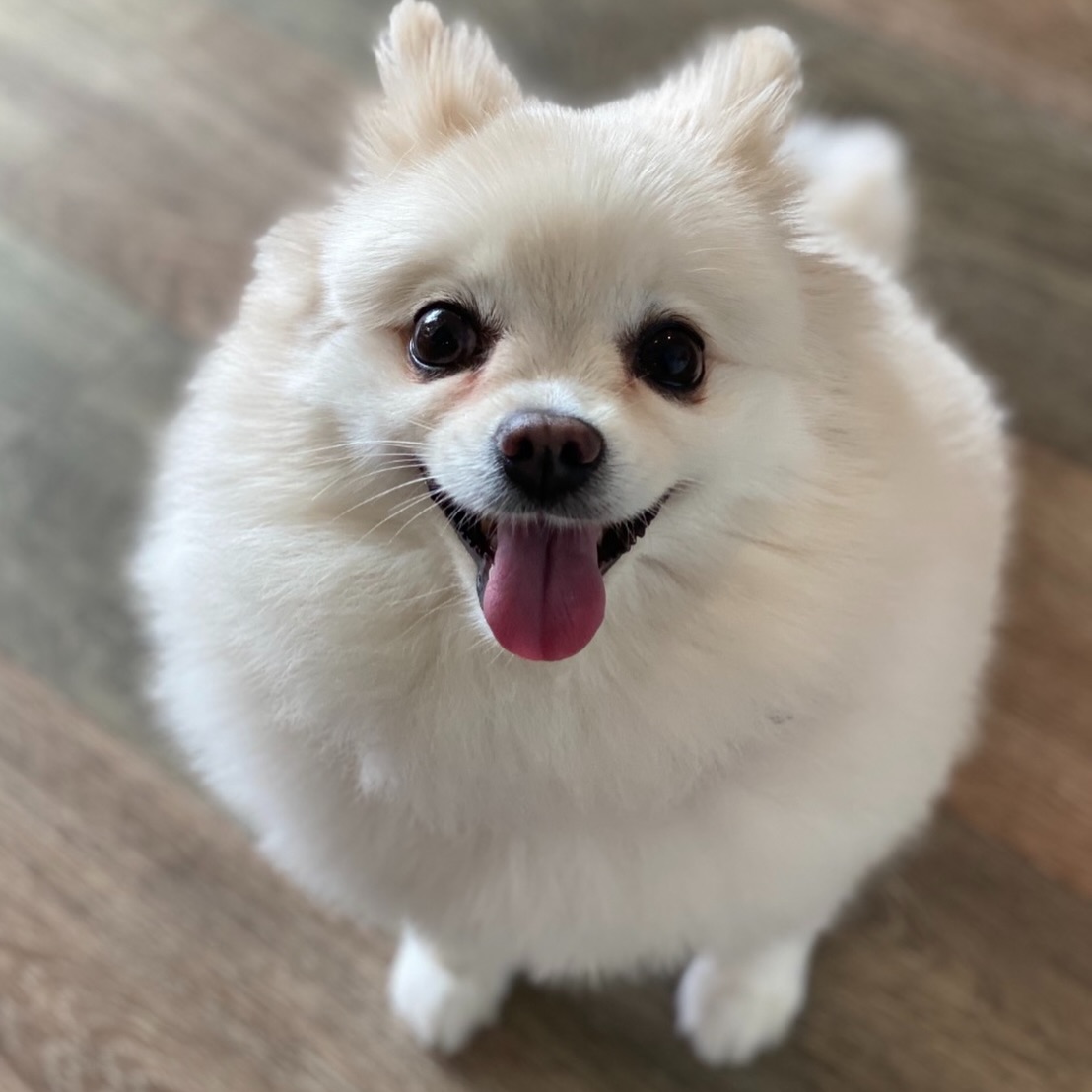 โบกี้ - พิชญ์สินี วีระสุทธิมาศ