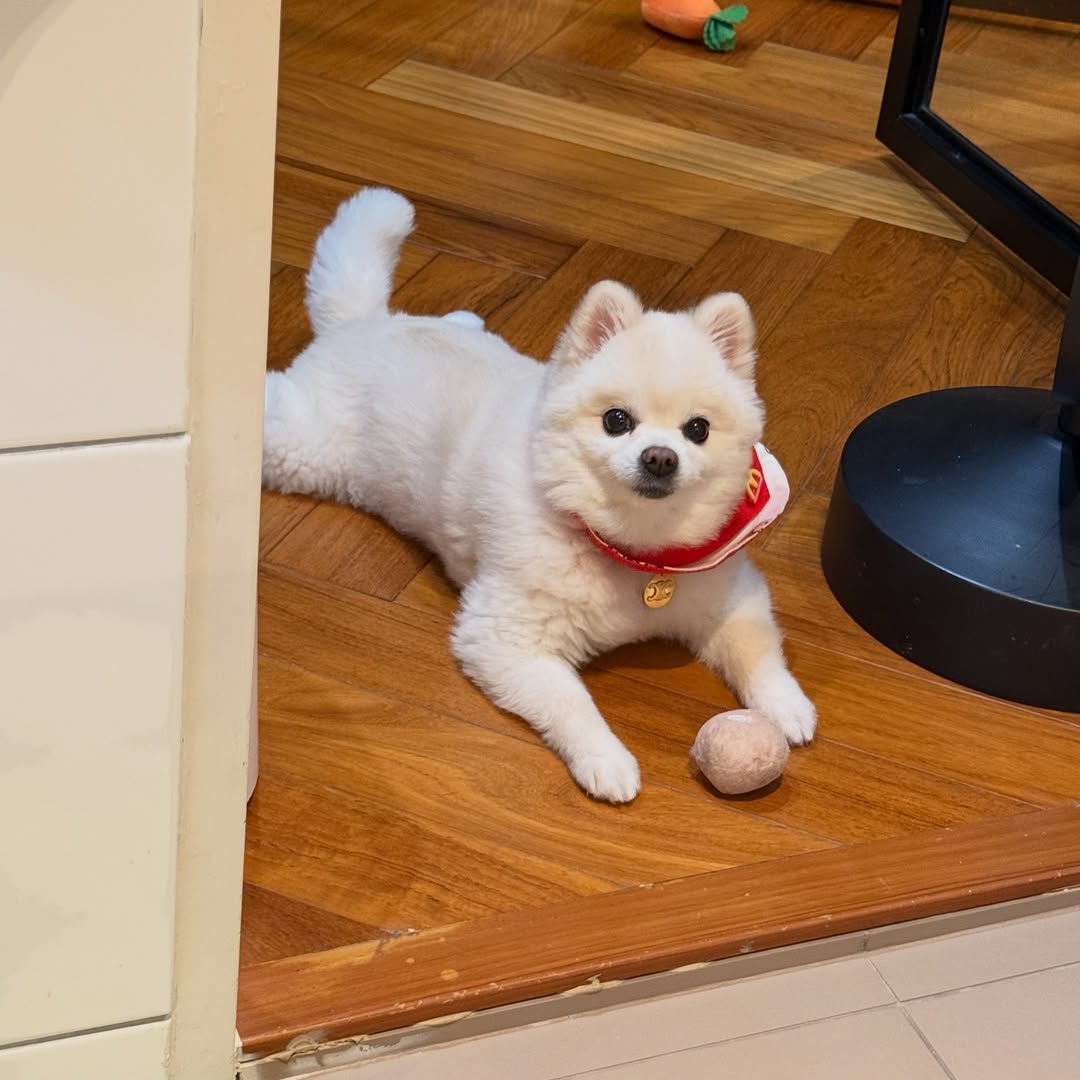 โบกี้ - พิชญ์สินี วีระสุทธิมาศ