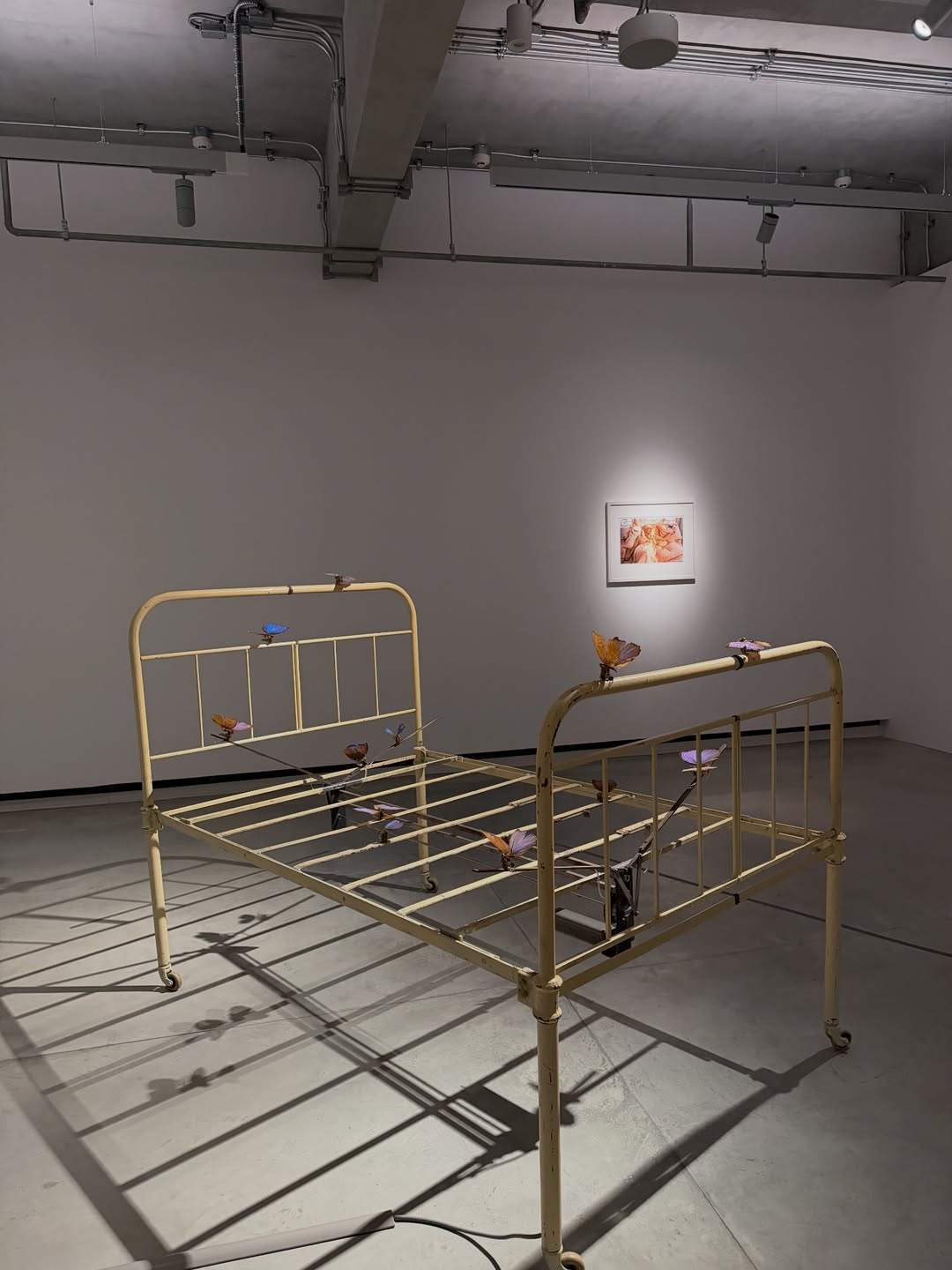 โบกี้ - พิชญ์สินี วีระสุทธิมาศ