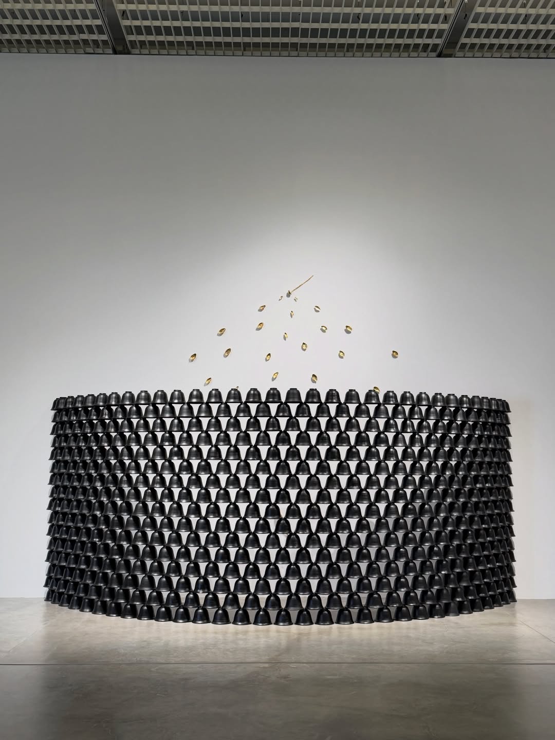 โบกี้ - พิชญ์สินี วีระสุทธิมาศ