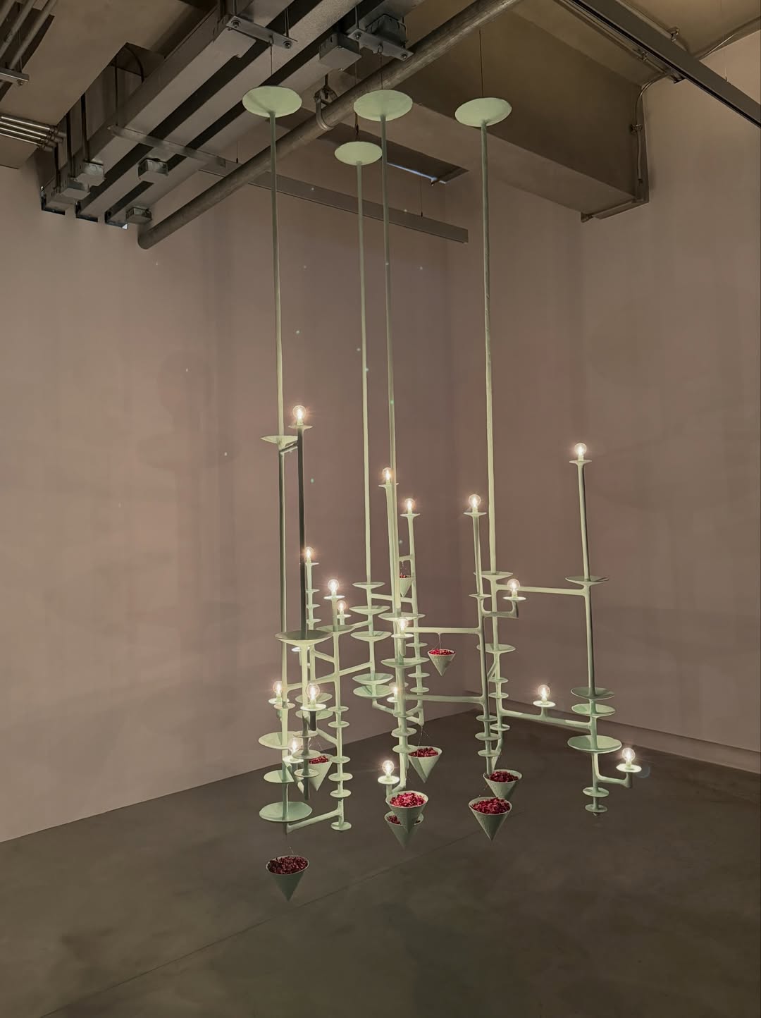 โบกี้ - พิชญ์สินี วีระสุทธิมาศ