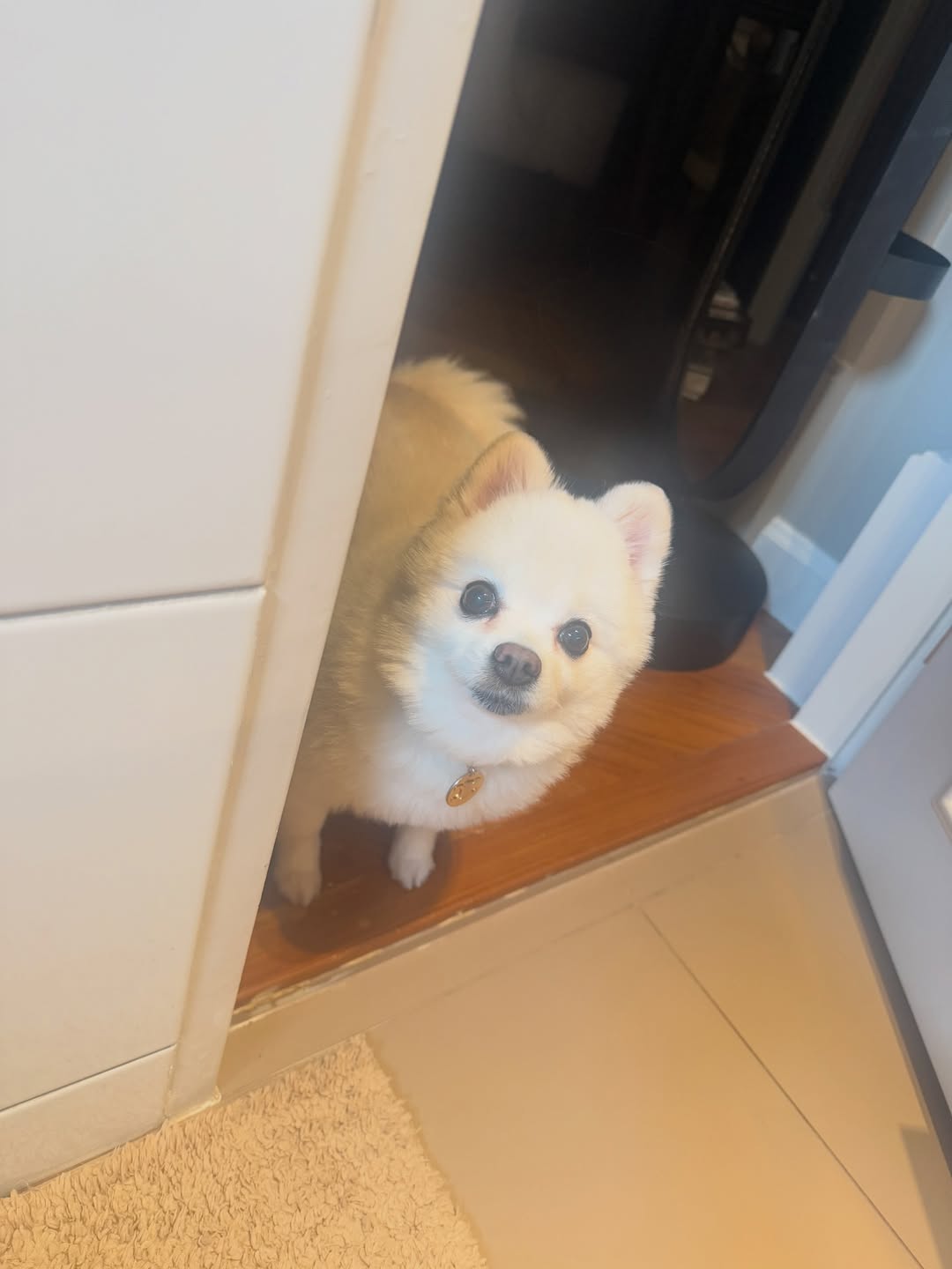 โบกี้ - พิชญ์สินี วีระสุทธิมาศ