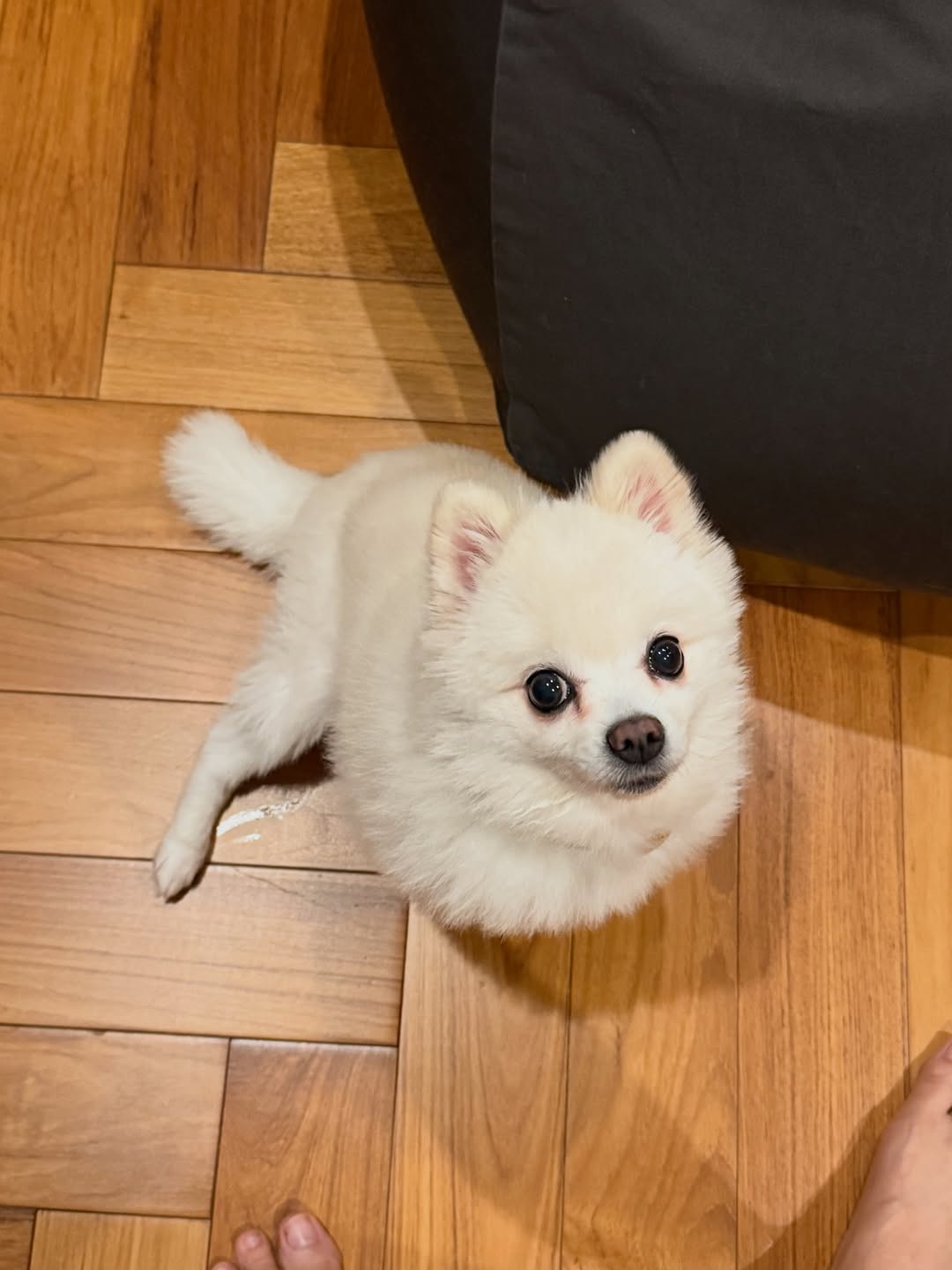 โบกี้ - พิชญ์สินี วีระสุทธิมาศ