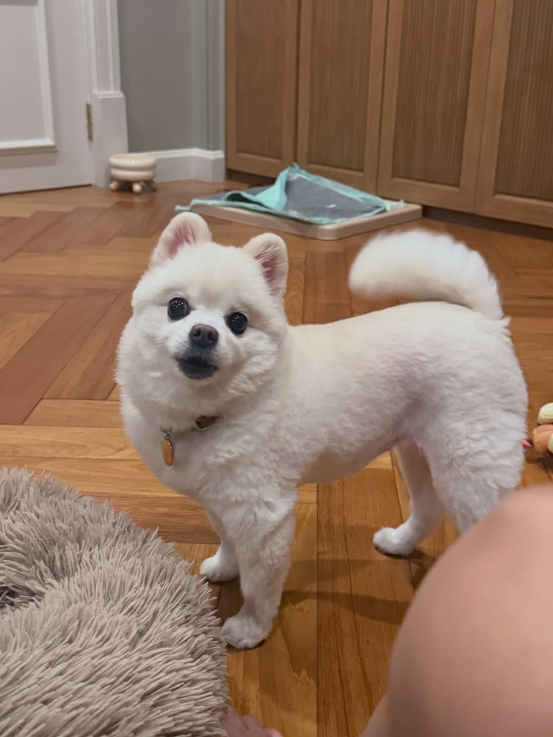 โบกี้ - พิชญ์สินี วีระสุทธิมาศ