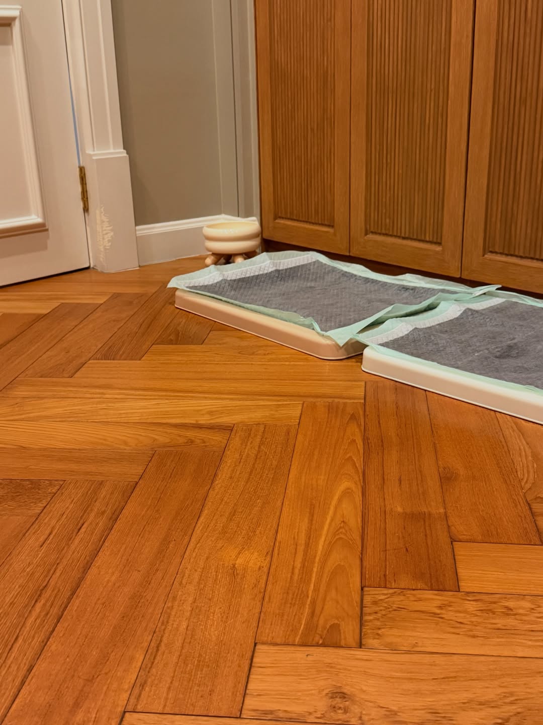 โบกี้ - พิชญ์สินี วีระสุทธิมาศ