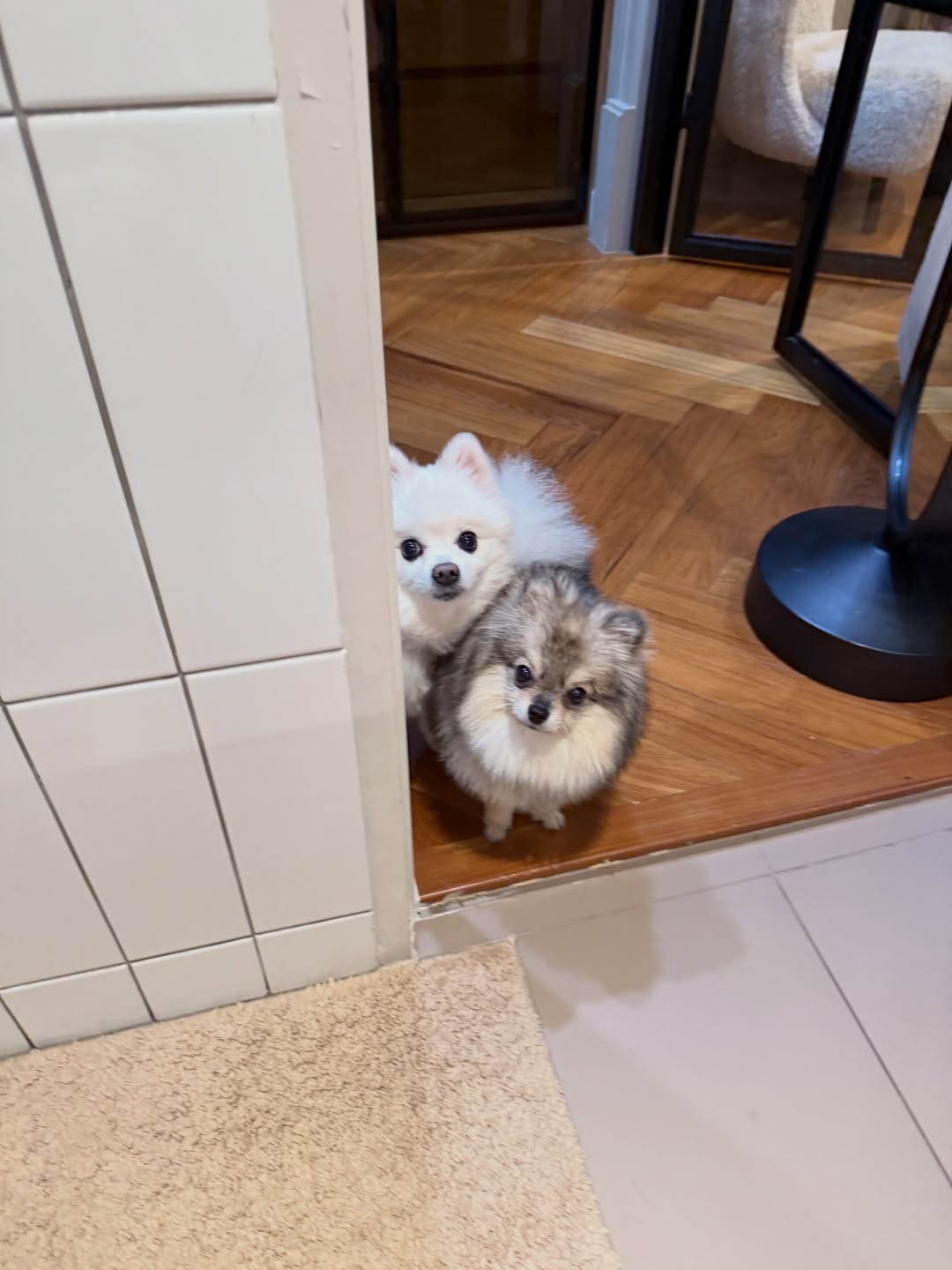 โบกี้ - พิชญ์สินี วีระสุทธิมาศ