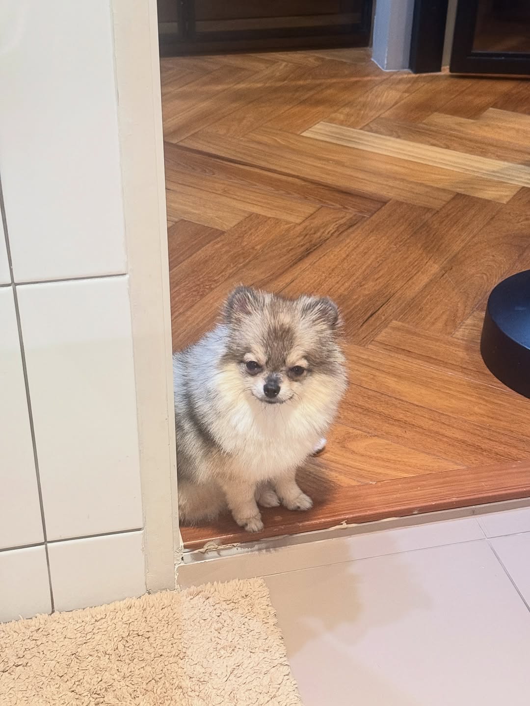 โบกี้ - พิชญ์สินี วีระสุทธิมาศ