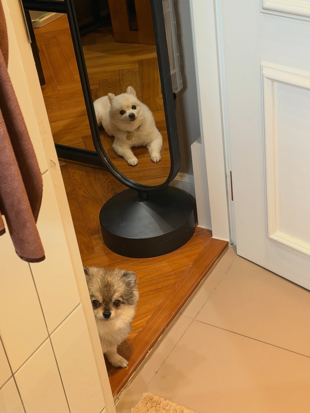 โบกี้ - พิชญ์สินี วีระสุทธิมาศ