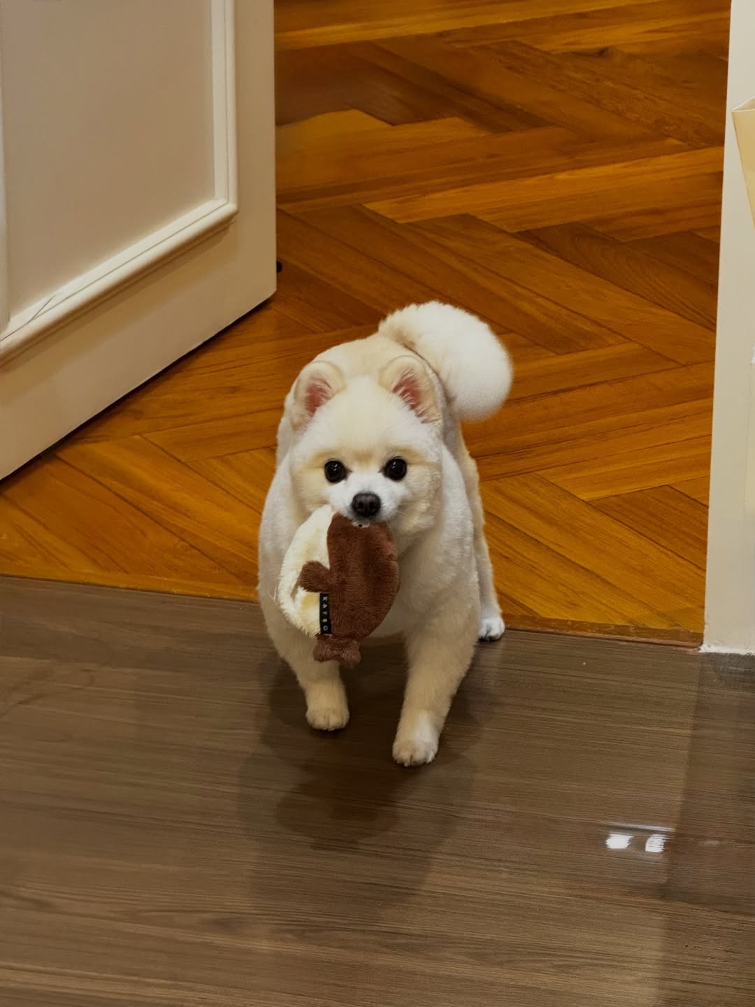 โบกี้ - พิชญ์สินี วีระสุทธิมาศ