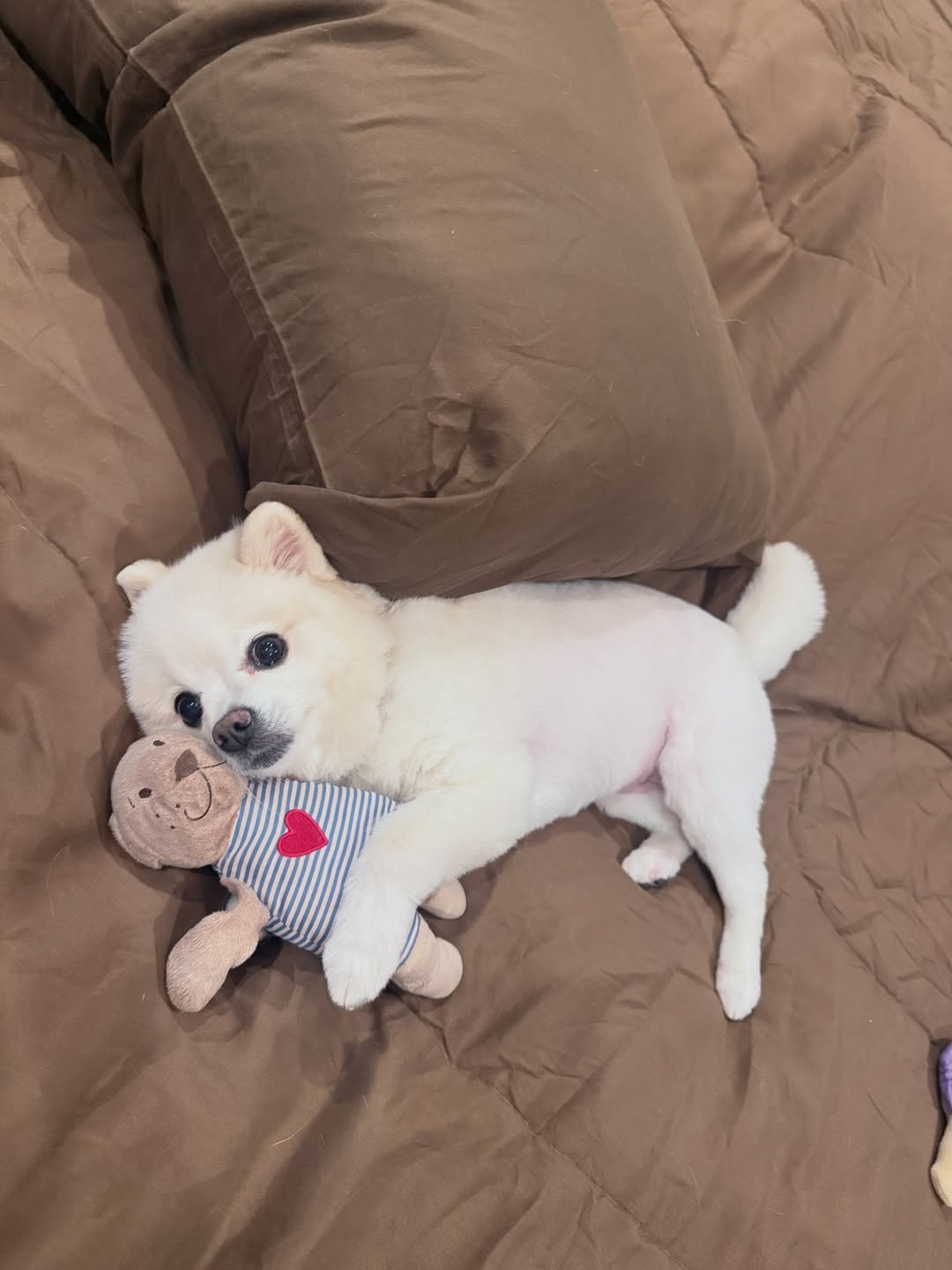 โบกี้ - พิชญ์สินี วีระสุทธิมาศ