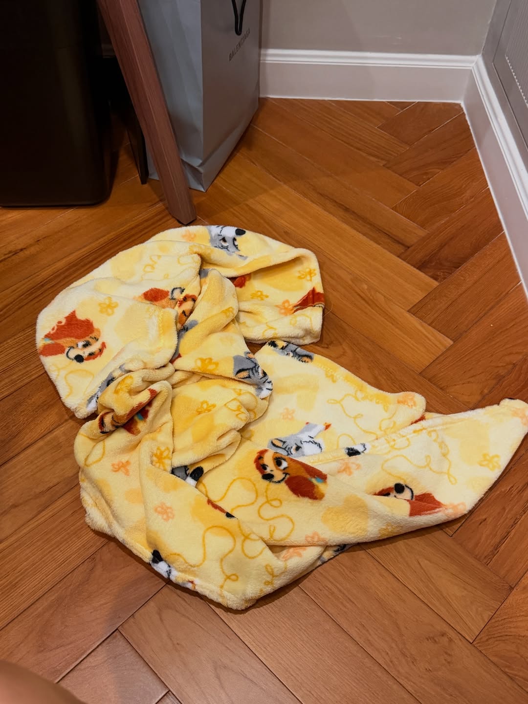 โบกี้ - พิชญ์สินี วีระสุทธิมาศ