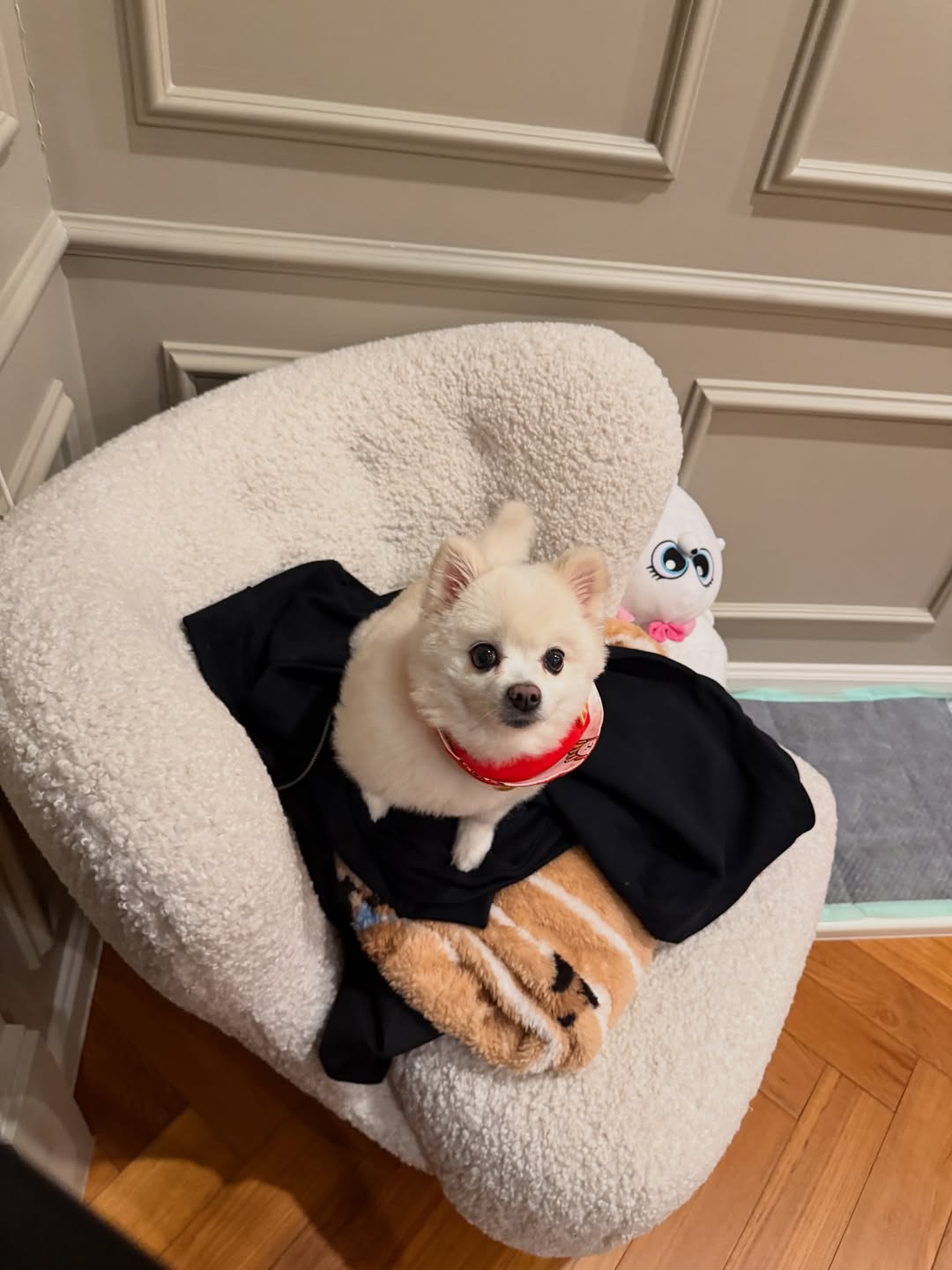 โบกี้ - พิชญ์สินี วีระสุทธิมาศ