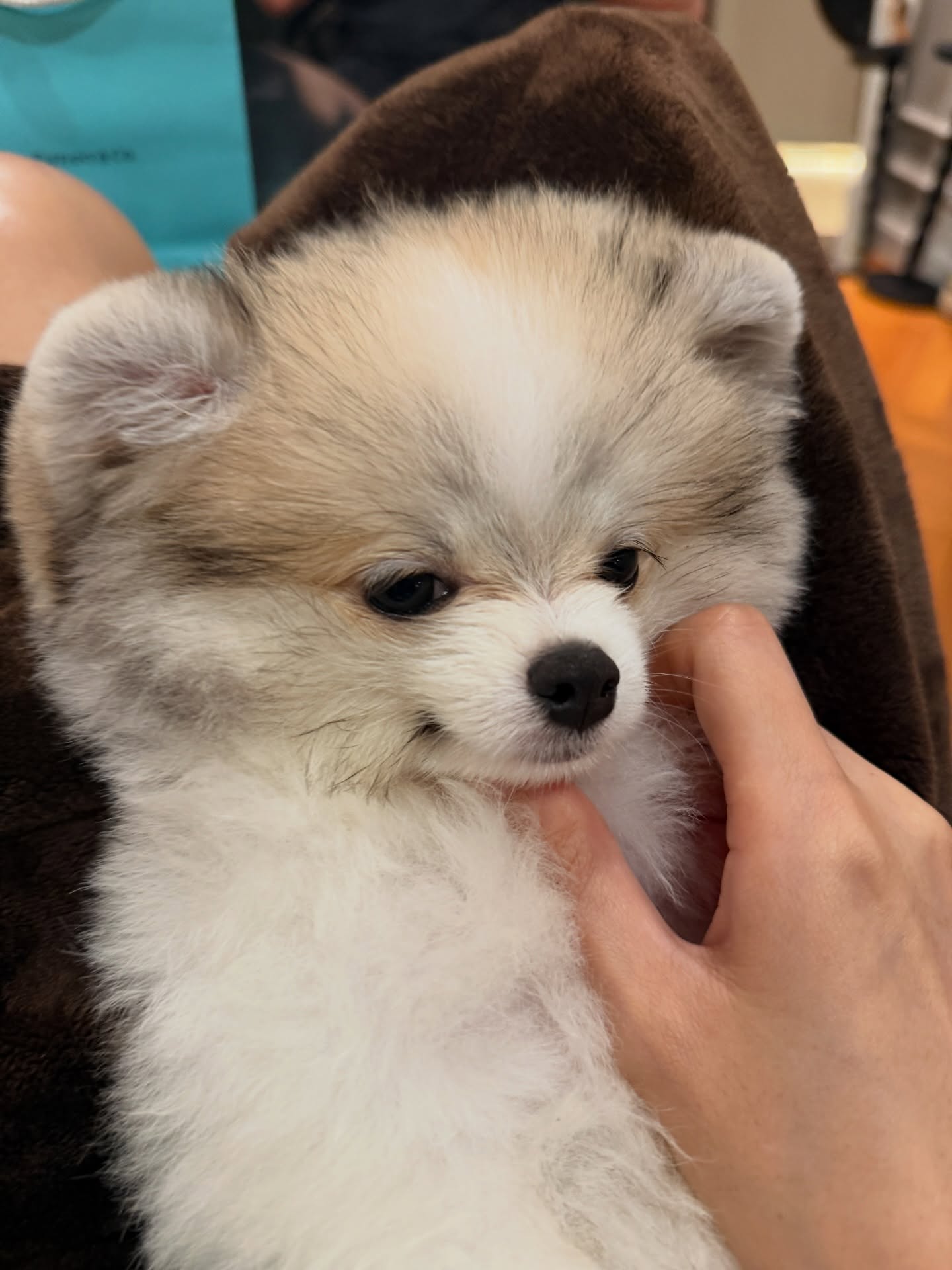 โบกี้ - พิชญ์สินี วีระสุทธิมาศ