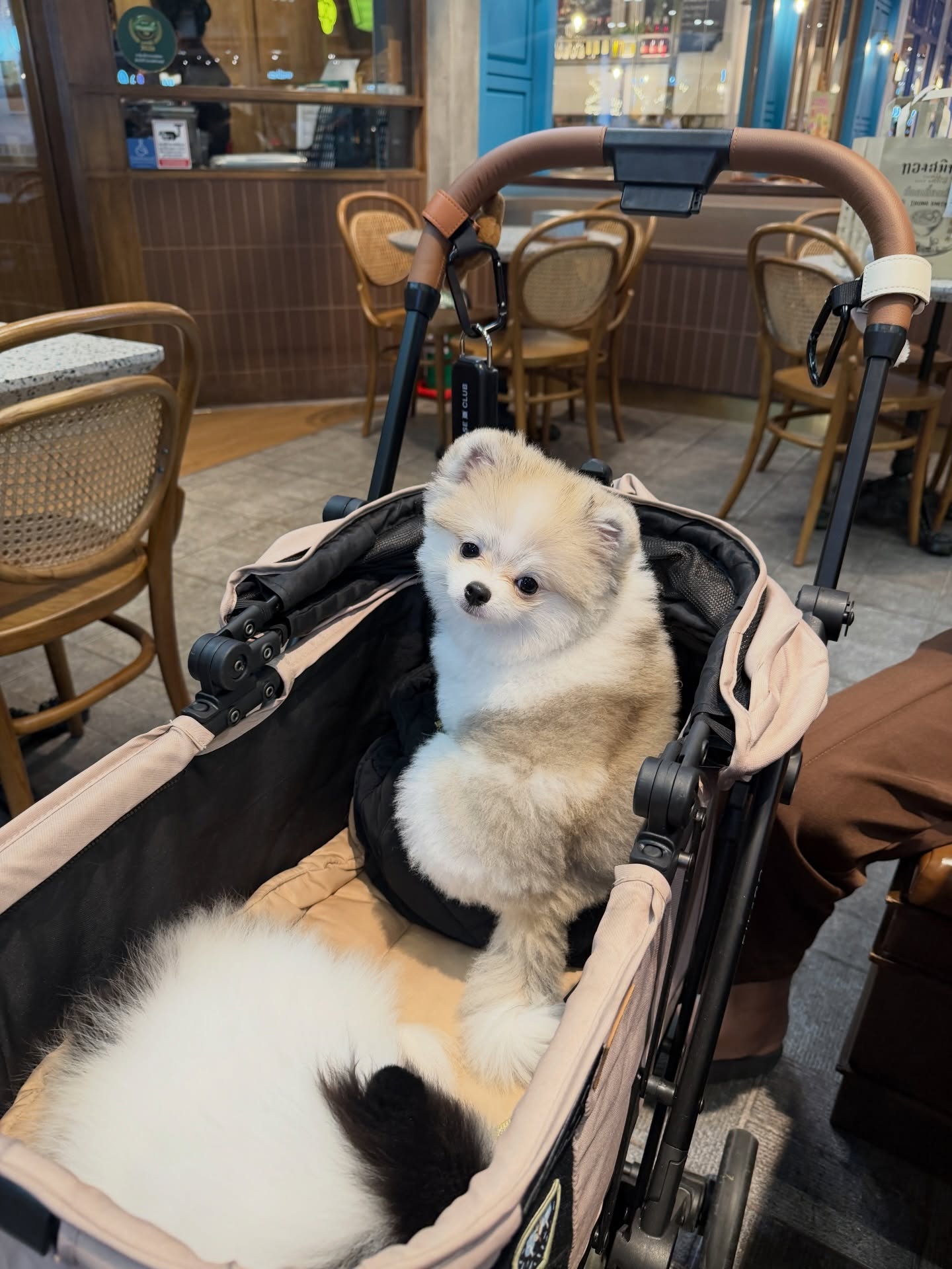 โบกี้ - พิชญ์สินี วีระสุทธิมาศ