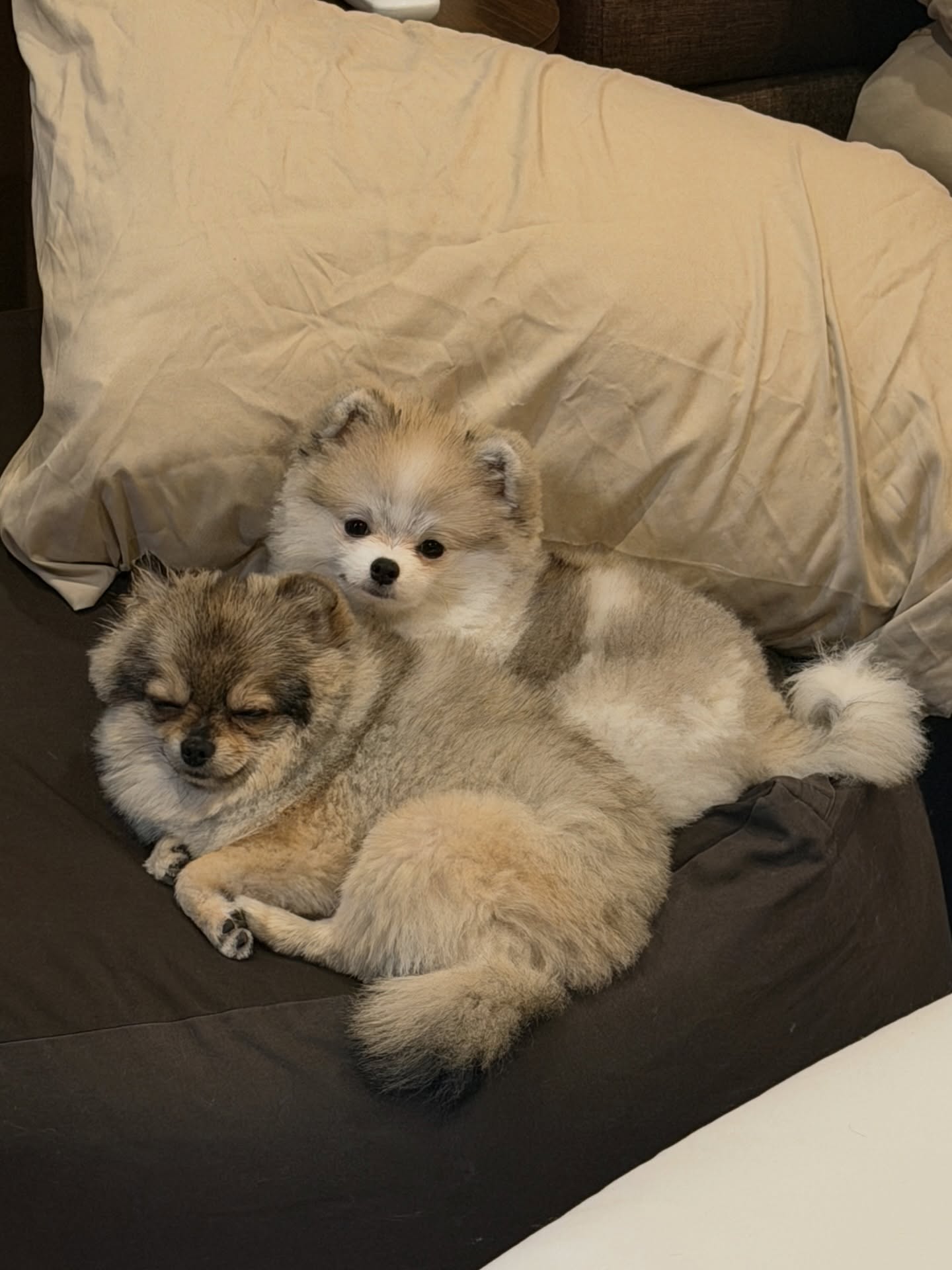 โบกี้ - พิชญ์สินี วีระสุทธิมาศ