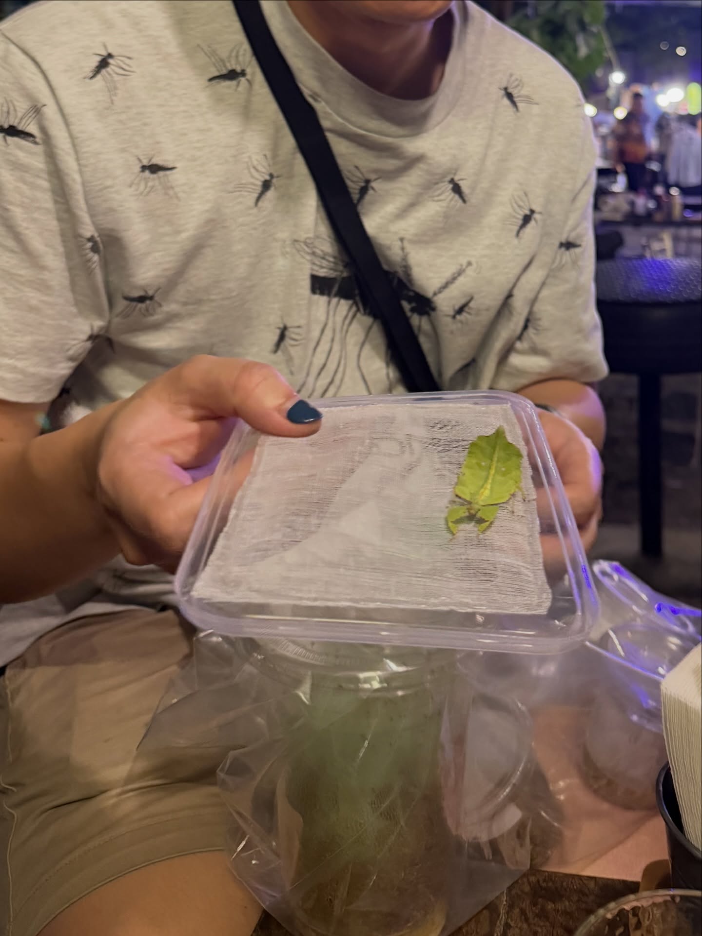 โบกี้ - พิชญ์สินี วีระสุทธิมาศ