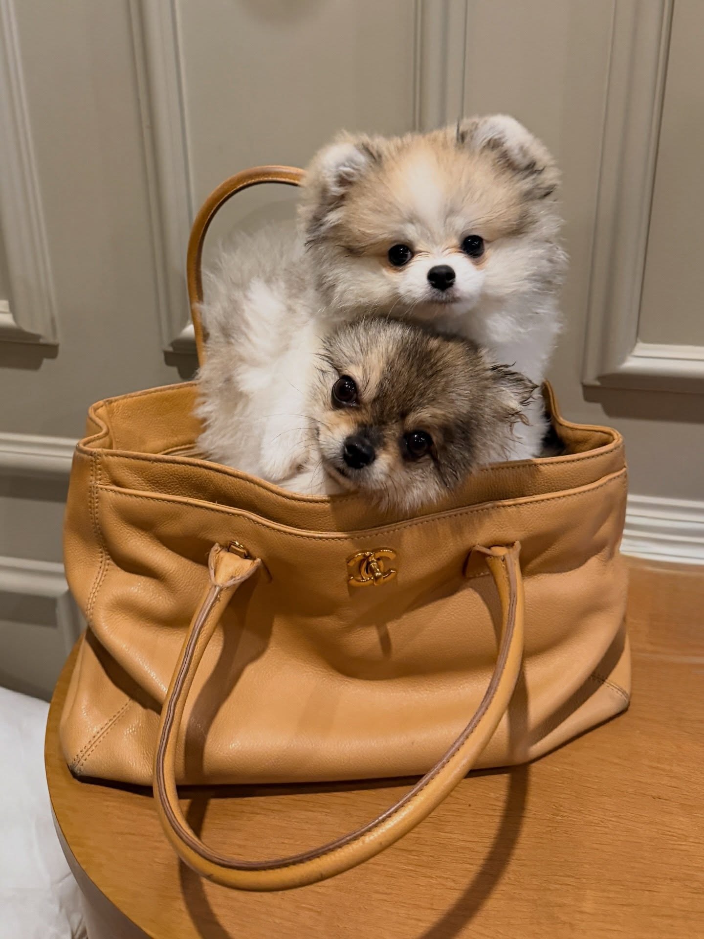 โบกี้ - พิชญ์สินี วีระสุทธิมาศ