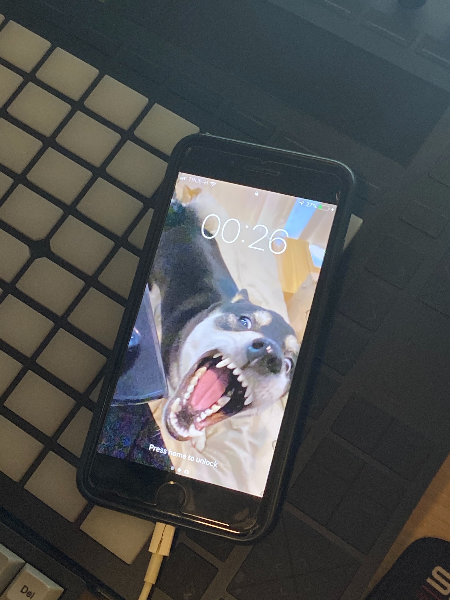 โบกี้ - พิชญ์สินี วีระสุทธิมาศ