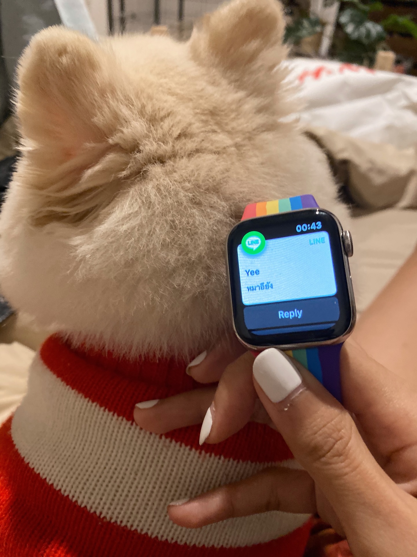 โบกี้ - พิชญ์สินี วีระสุทธิมาศ