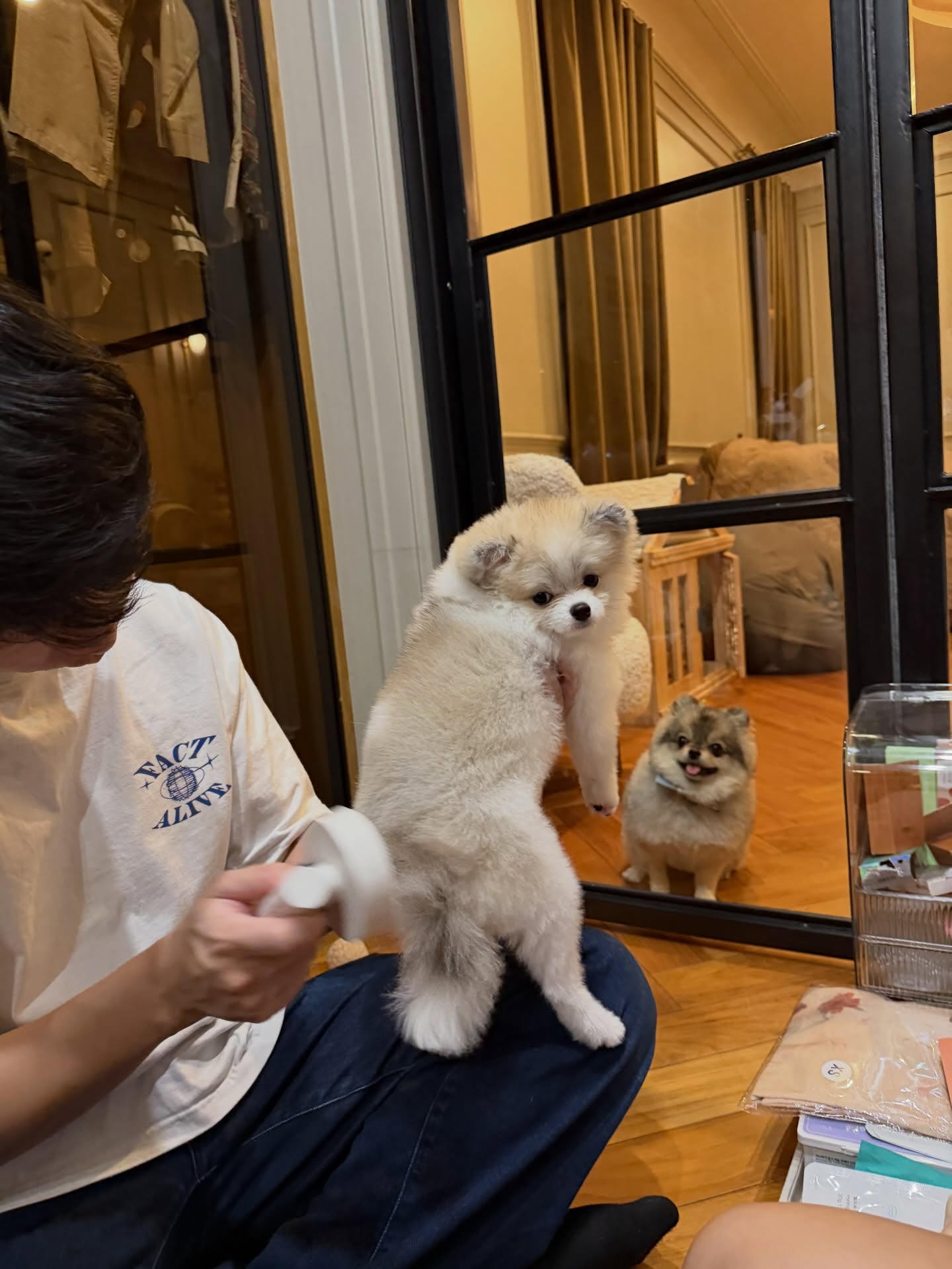 โบกี้ - พิชญ์สินี วีระสุทธิมาศ