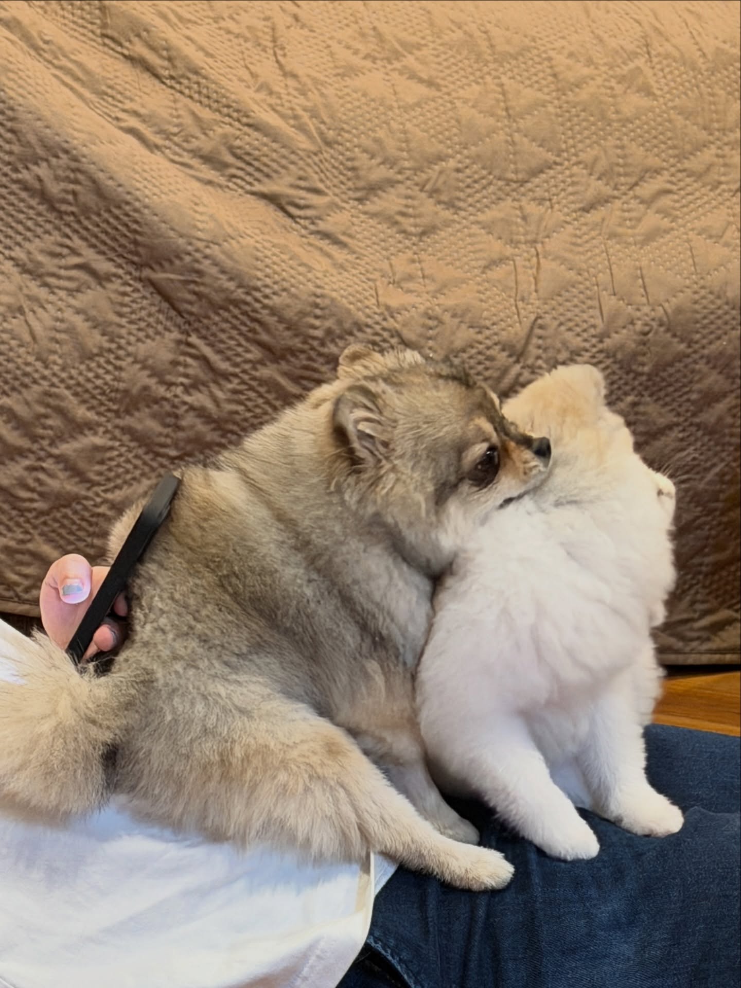 โบกี้ - พิชญ์สินี วีระสุทธิมาศ