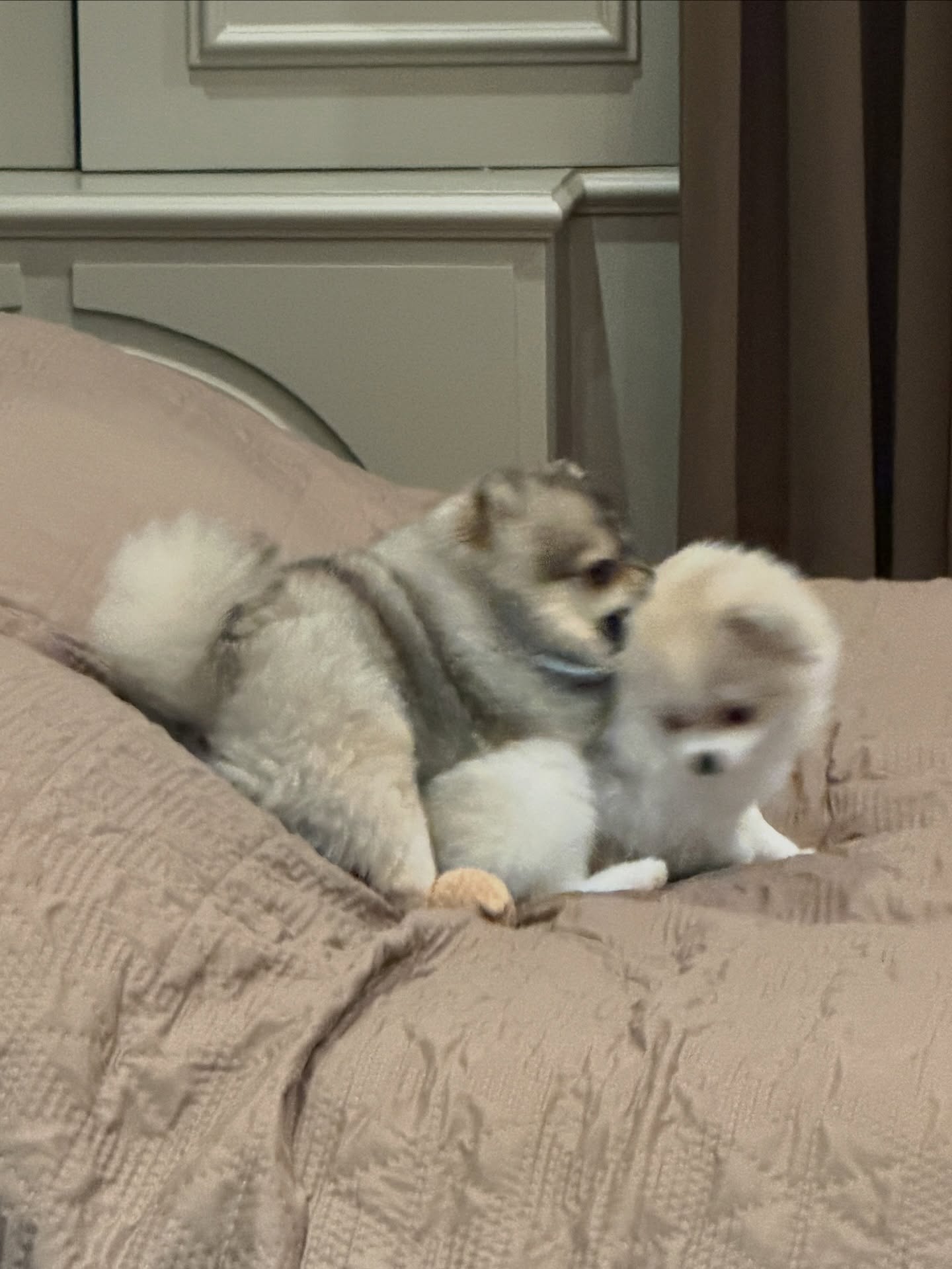 โบกี้ - พิชญ์สินี วีระสุทธิมาศ