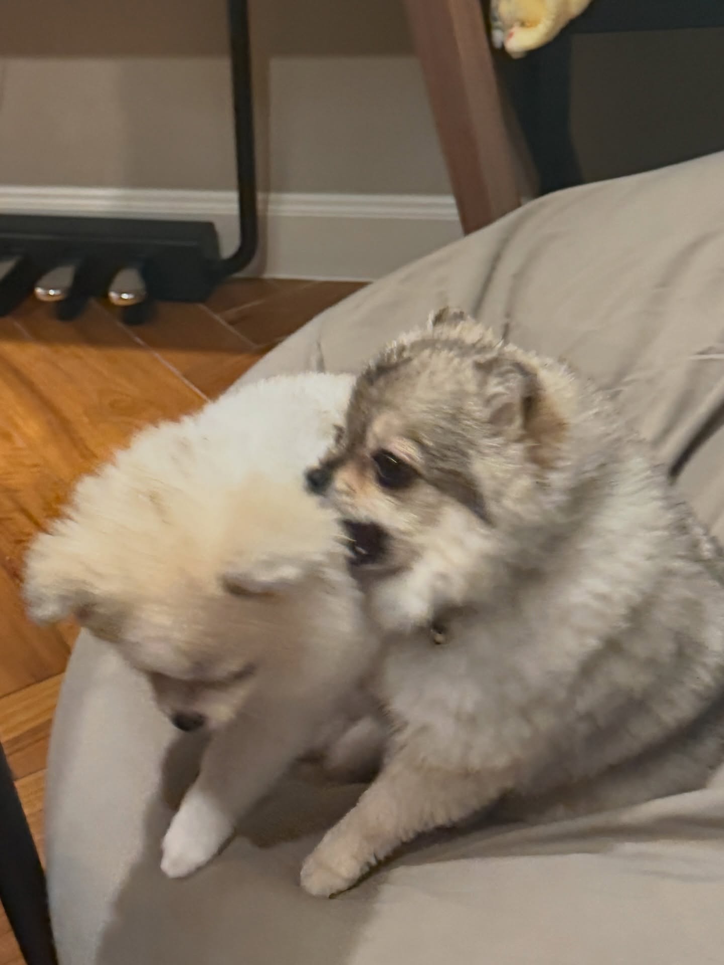 โบกี้ - พิชญ์สินี วีระสุทธิมาศ