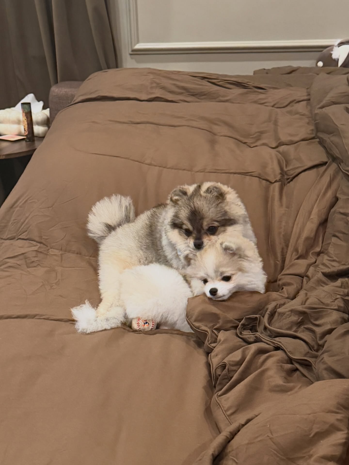 โบกี้ - พิชญ์สินี วีระสุทธิมาศ