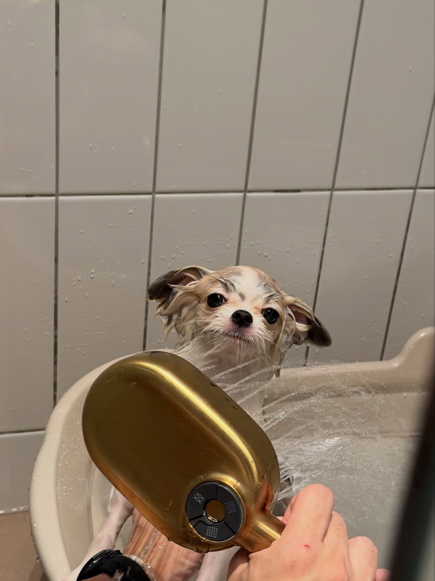 โบกี้ - พิชญ์สินี วีระสุทธิมาศ