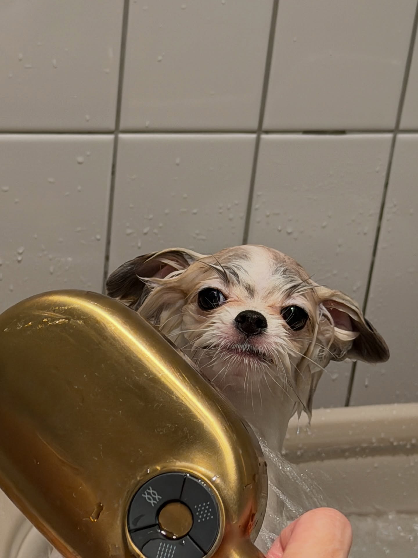 โบกี้ - พิชญ์สินี วีระสุทธิมาศ