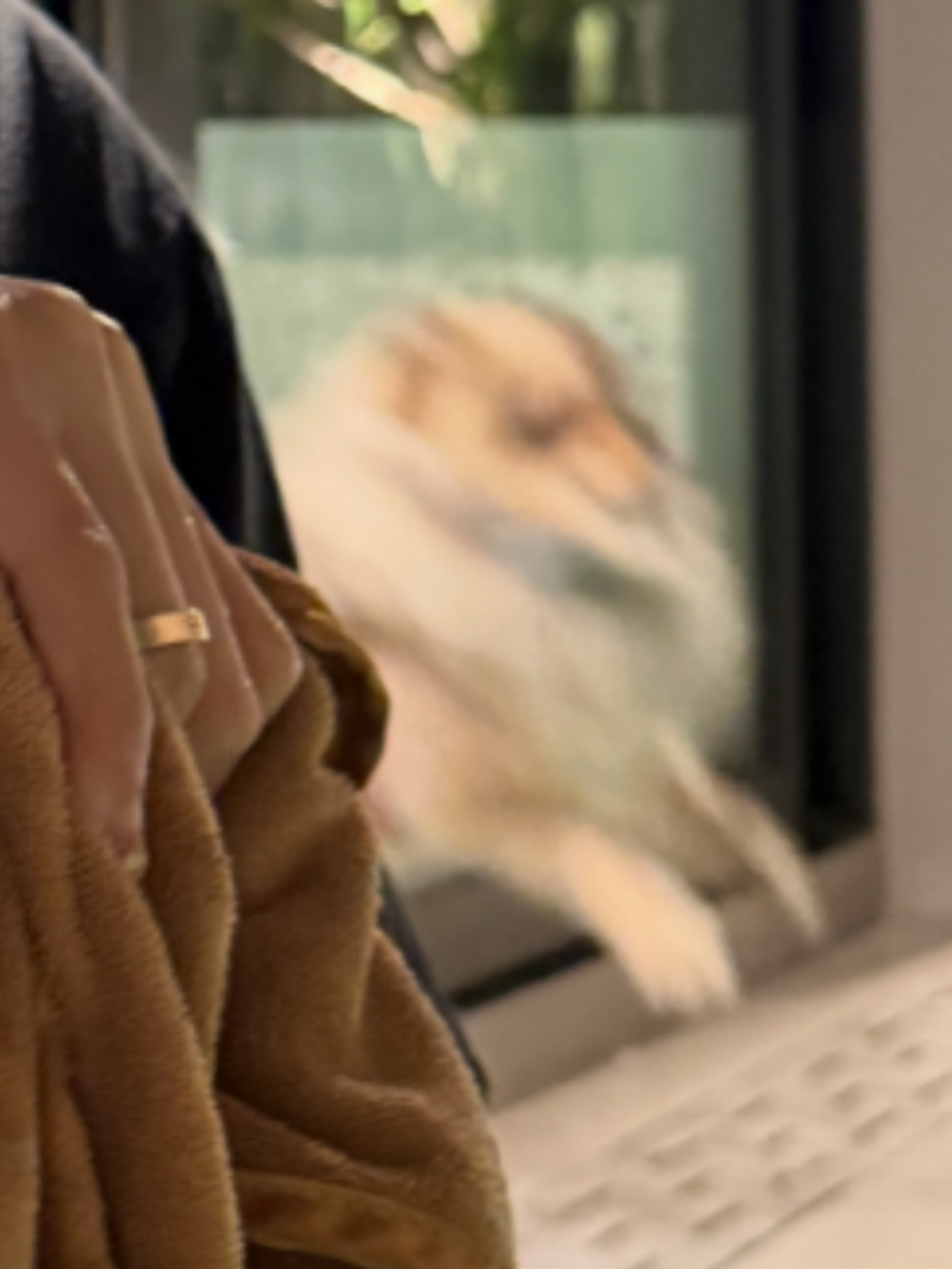 โบกี้ - พิชญ์สินี วีระสุทธิมาศ