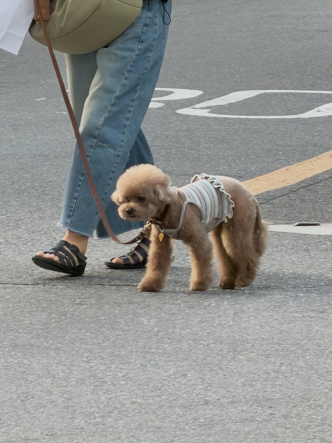 โบกี้ - พิชญ์สินี วีระสุทธิมาศ