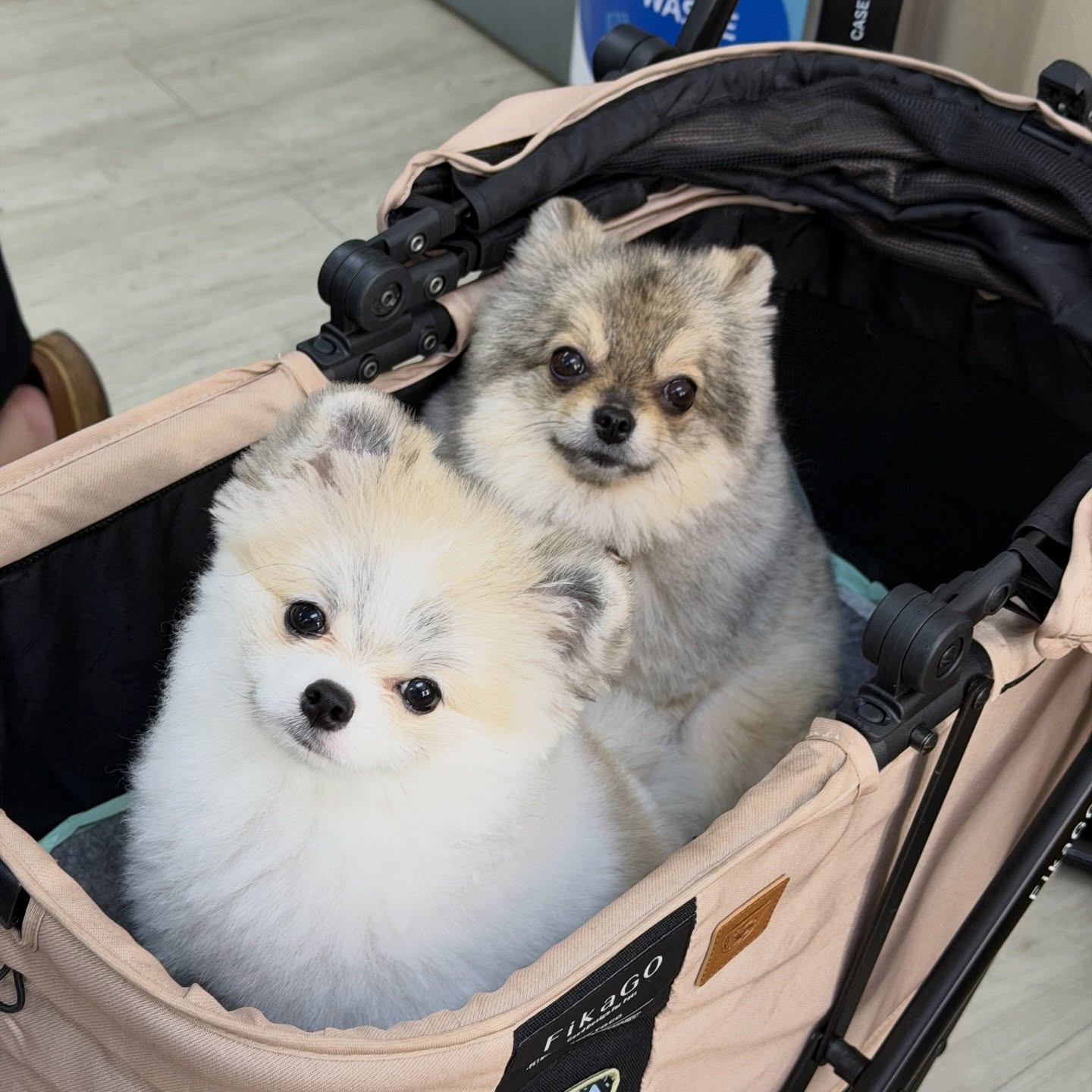 โบกี้ - พิชญ์สินี วีระสุทธิมาศ