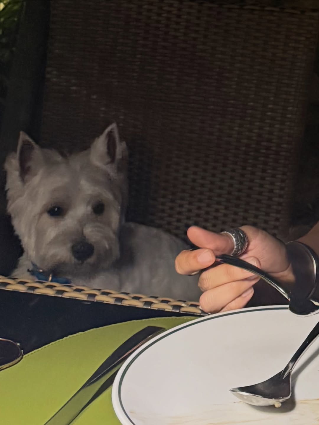 ฌอห์ณ จินดาโชติ