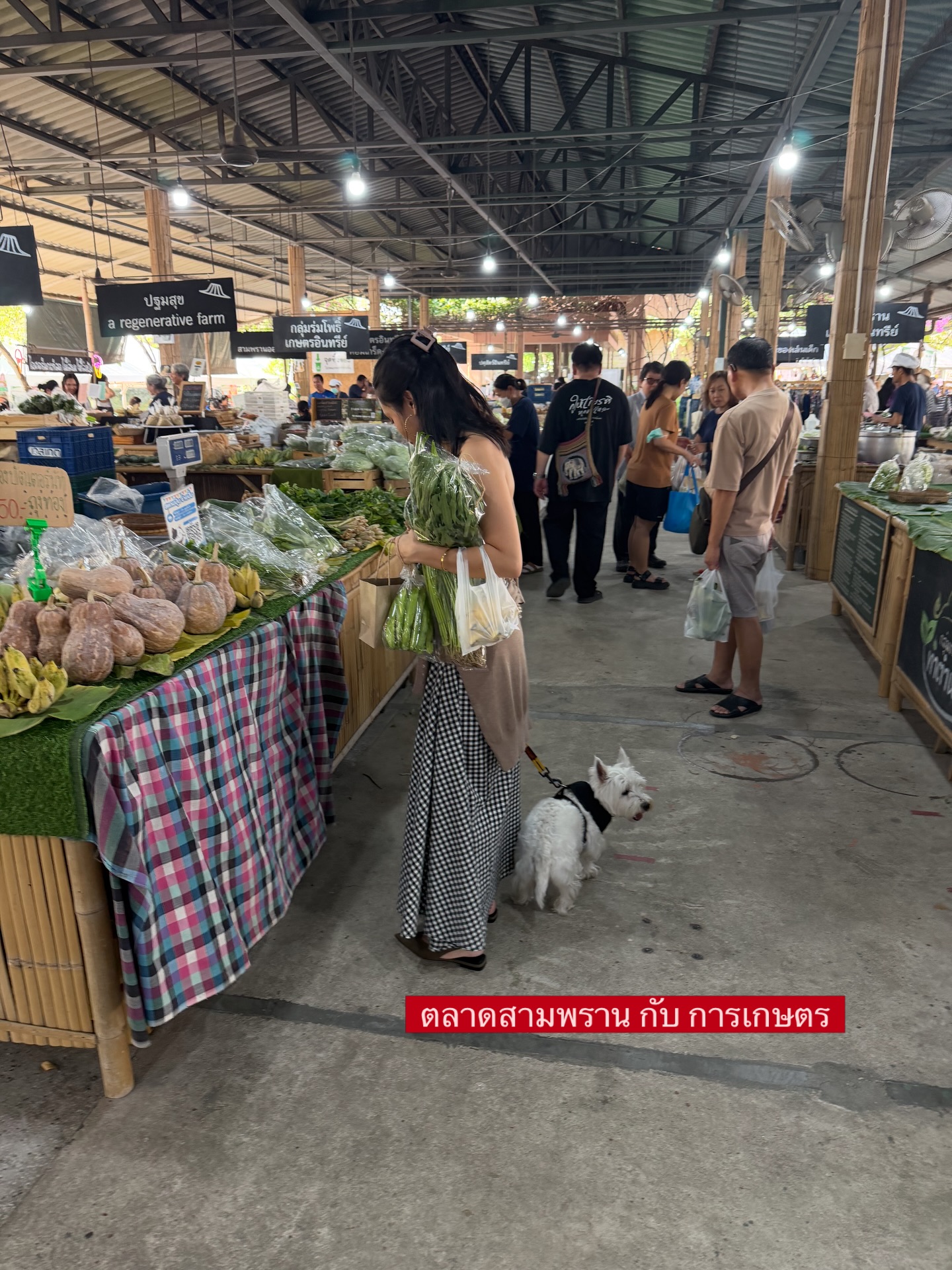 ฌอห์ณ จินดาโชติ